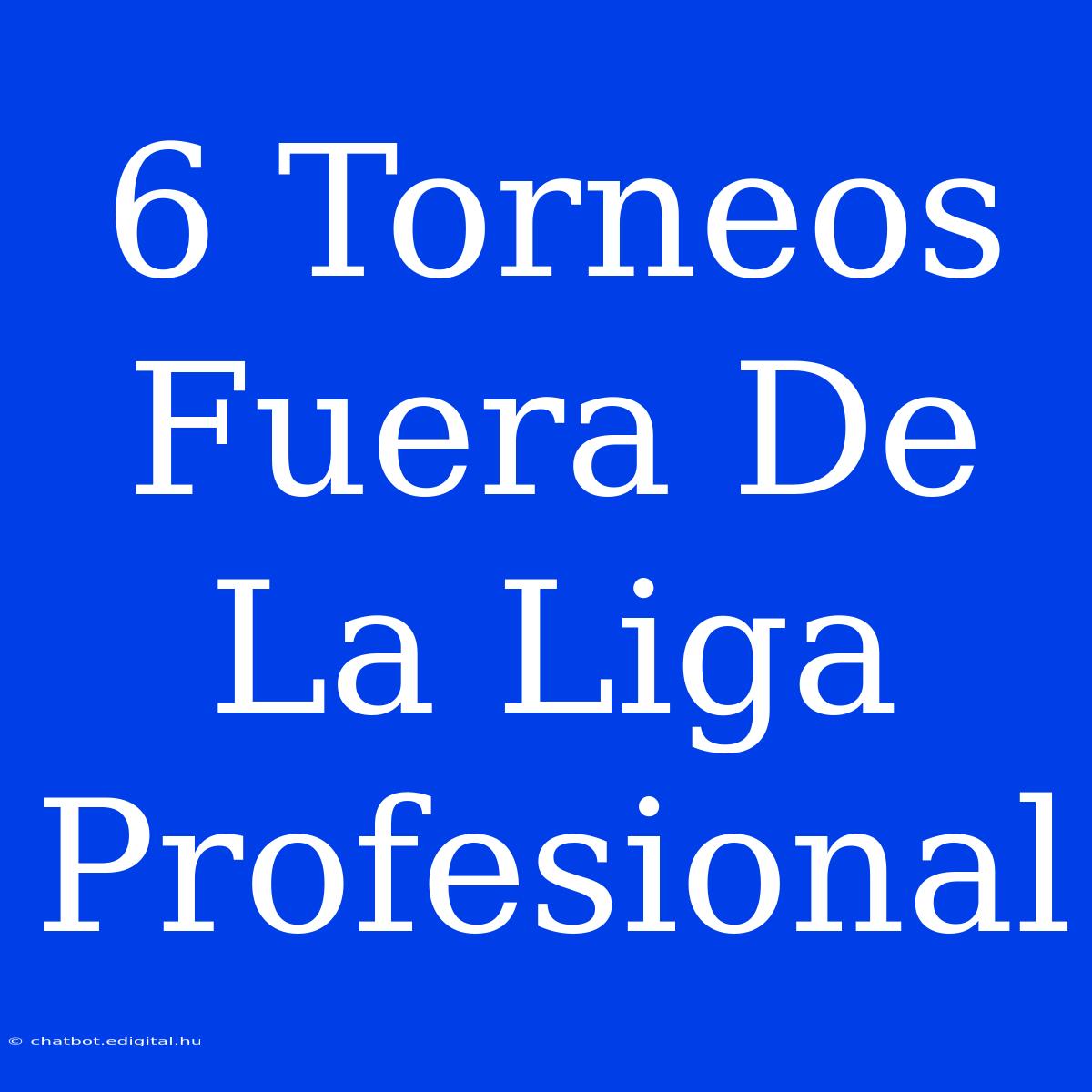 6 Torneos Fuera De La Liga Profesional