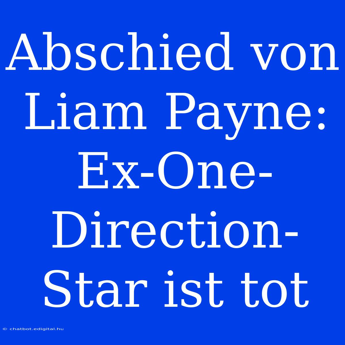 Abschied Von Liam Payne: Ex-One-Direction-Star Ist Tot