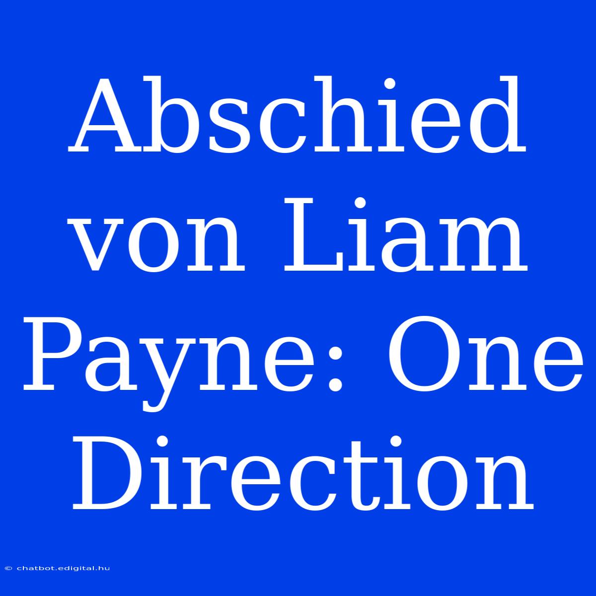 Abschied Von Liam Payne: One Direction