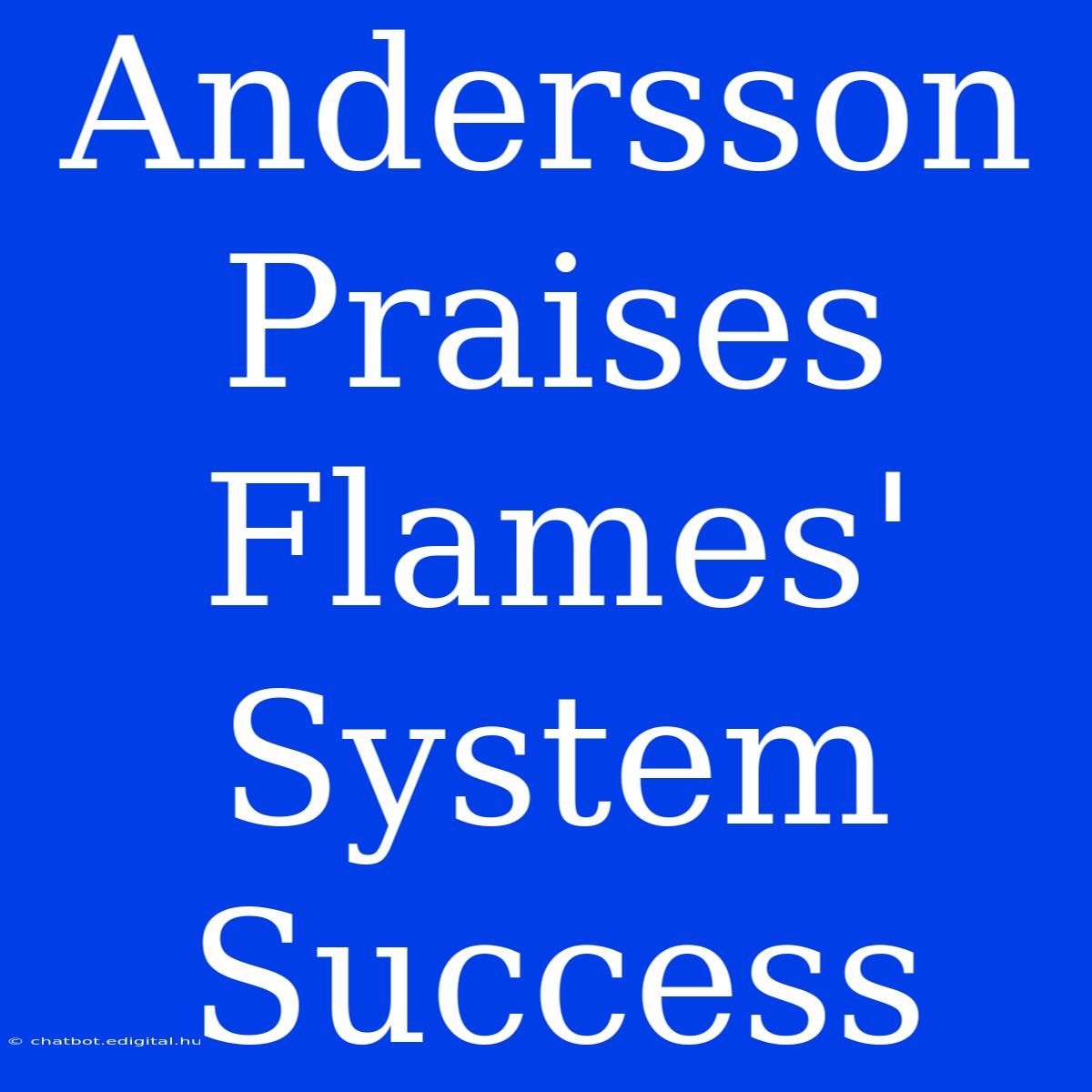 Andersson Praises Flames' System Success