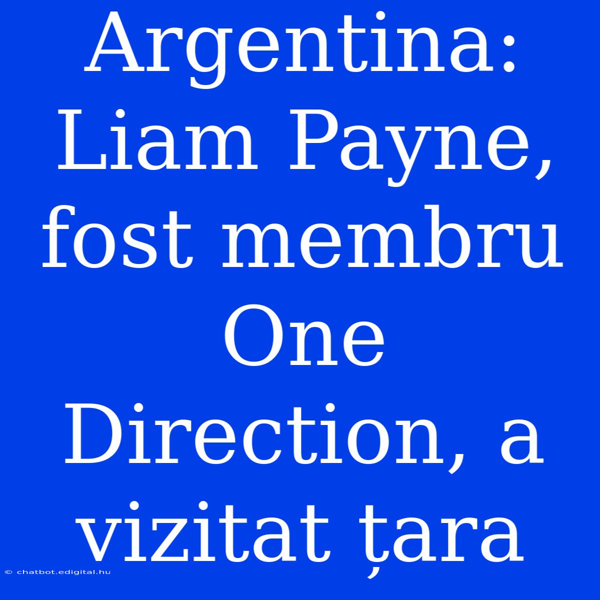 Argentina: Liam Payne, Fost Membru One Direction, A Vizitat Țara