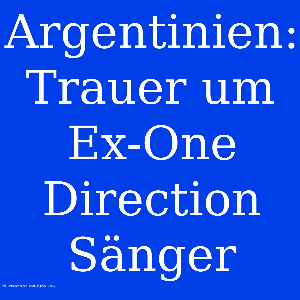 Argentinien: Trauer Um Ex-One Direction Sänger