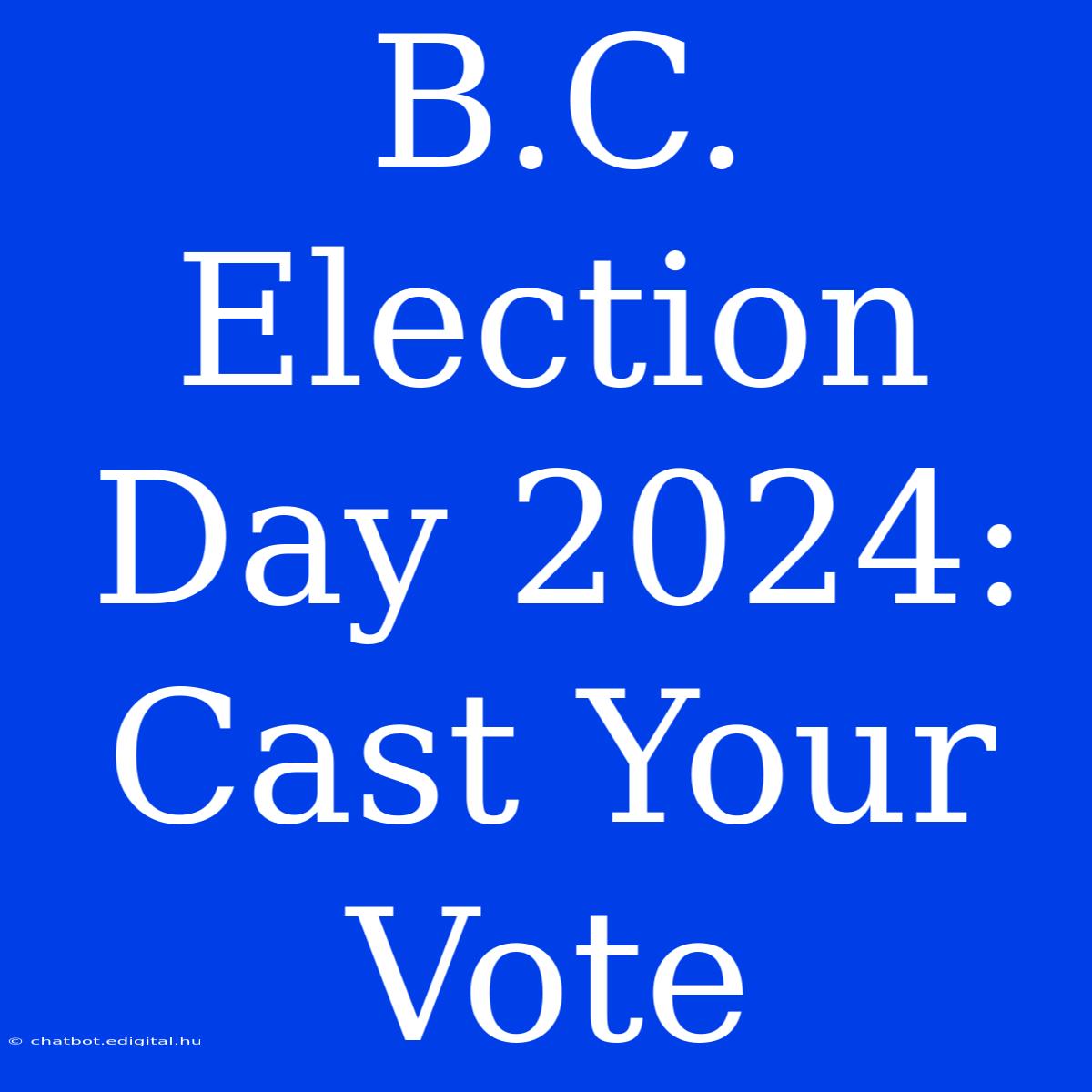 B.C. Election Day 2024: Cast Your Vote