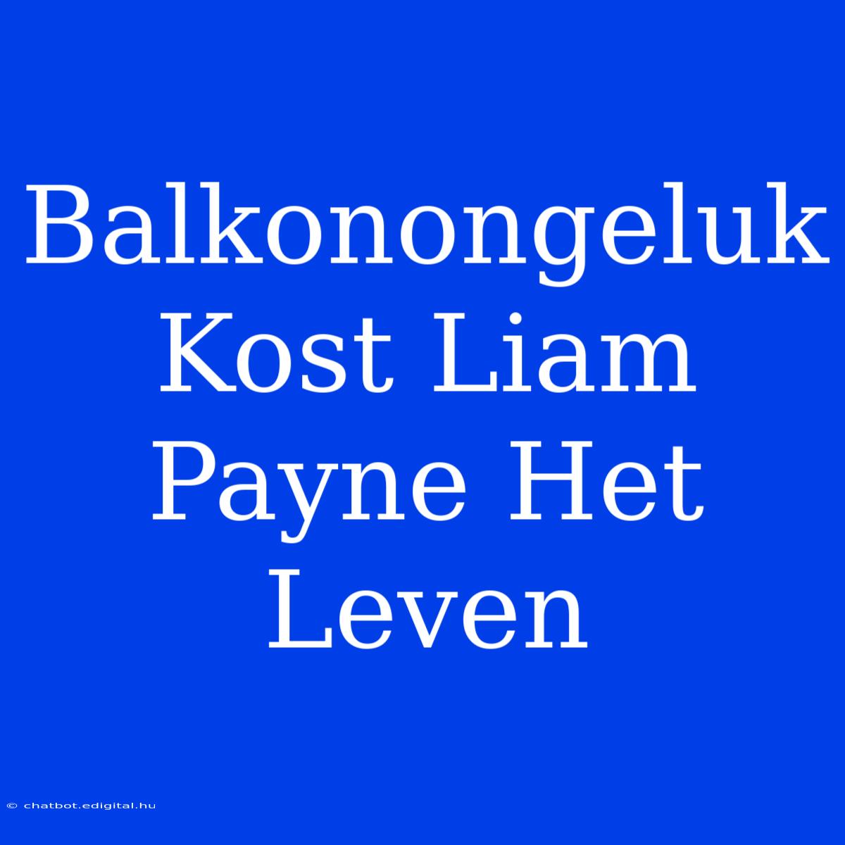 Balkonongeluk Kost Liam Payne Het Leven