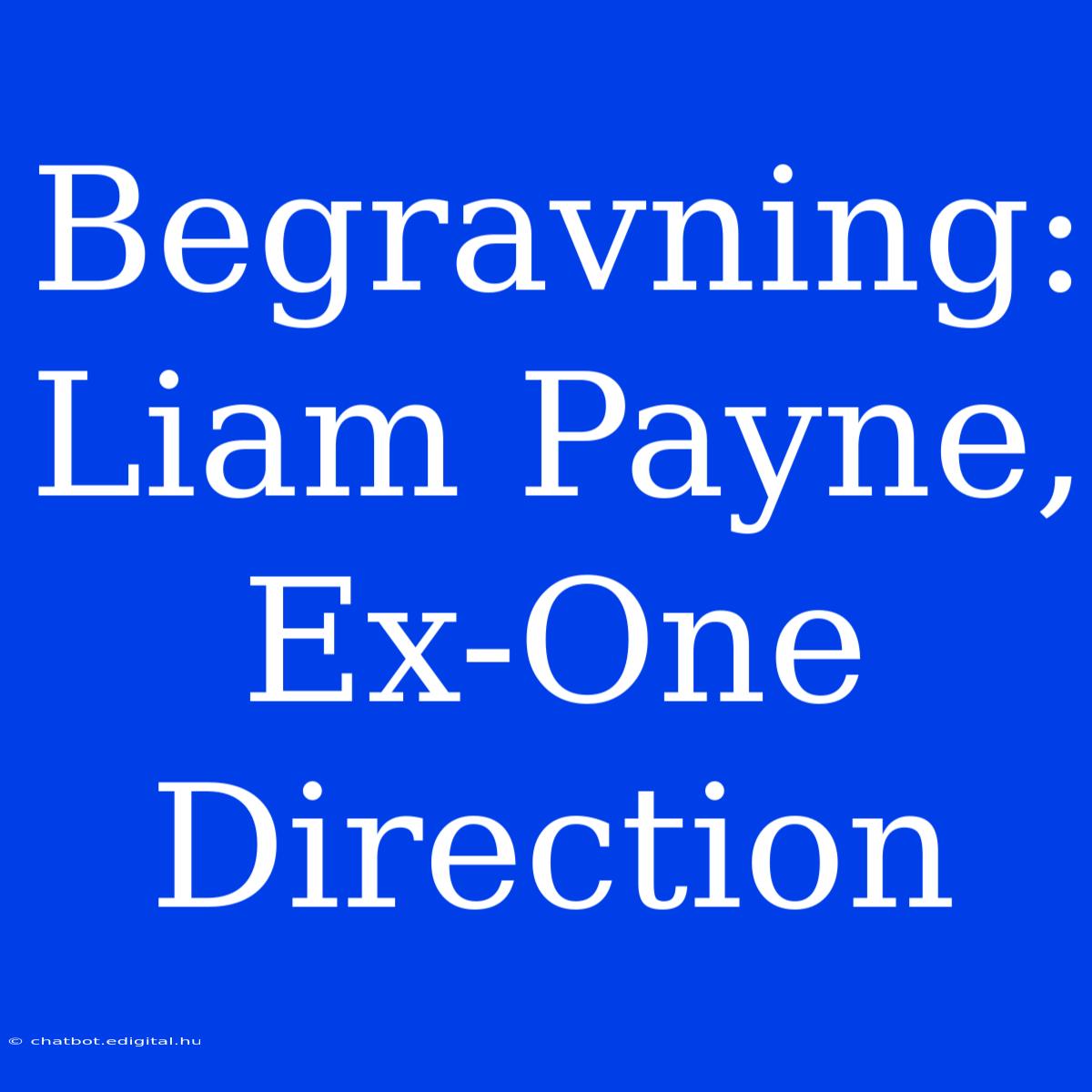 Begravning: Liam Payne, Ex-One Direction