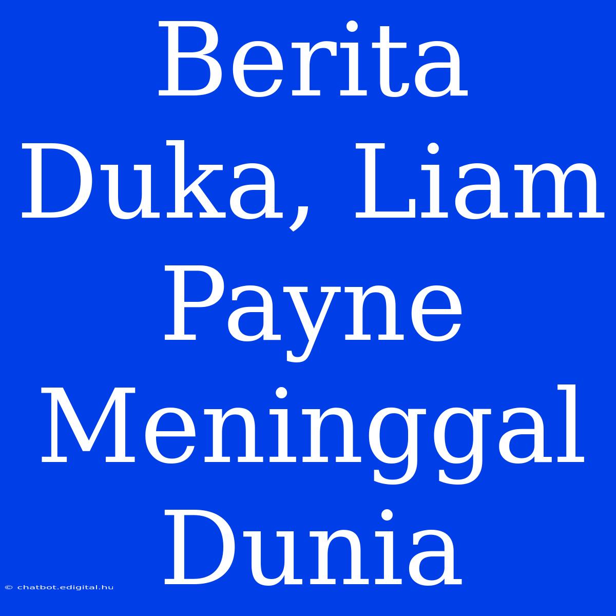 Berita Duka, Liam Payne Meninggal Dunia