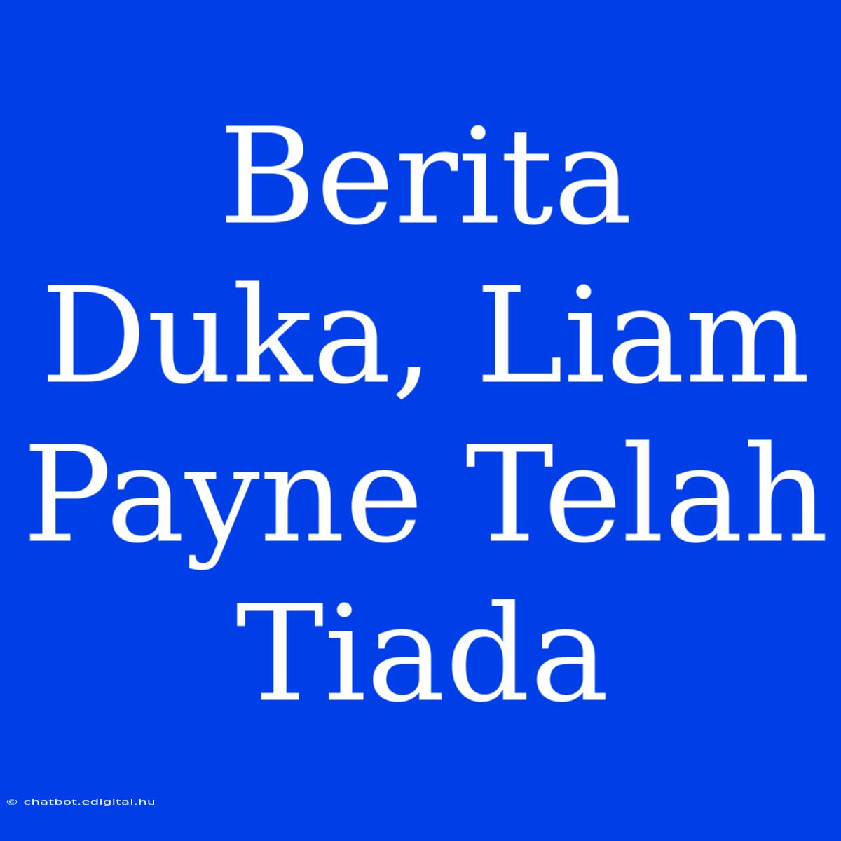 Berita Duka, Liam Payne Telah Tiada