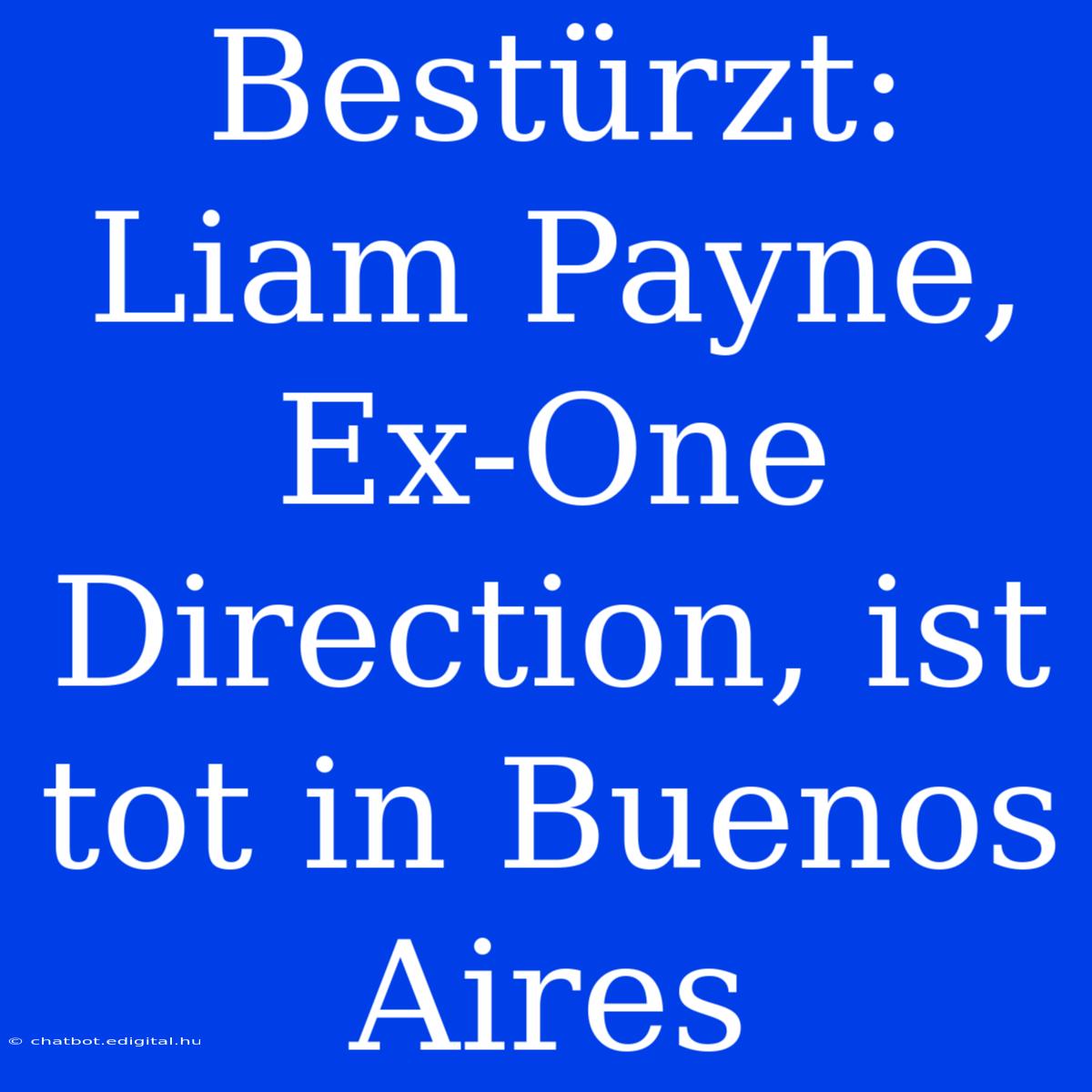 Bestürzt: Liam Payne, Ex-One Direction, Ist Tot In Buenos Aires