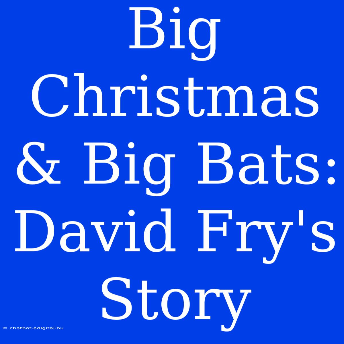 Big Christmas & Big Bats: David Fry's Story