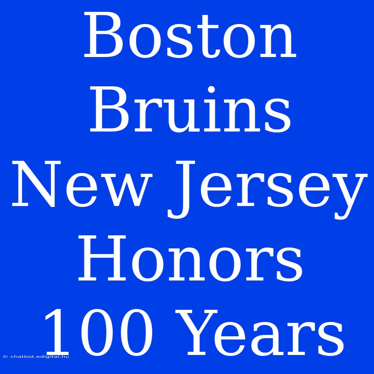 Boston Bruins New Jersey Honors 100 Years