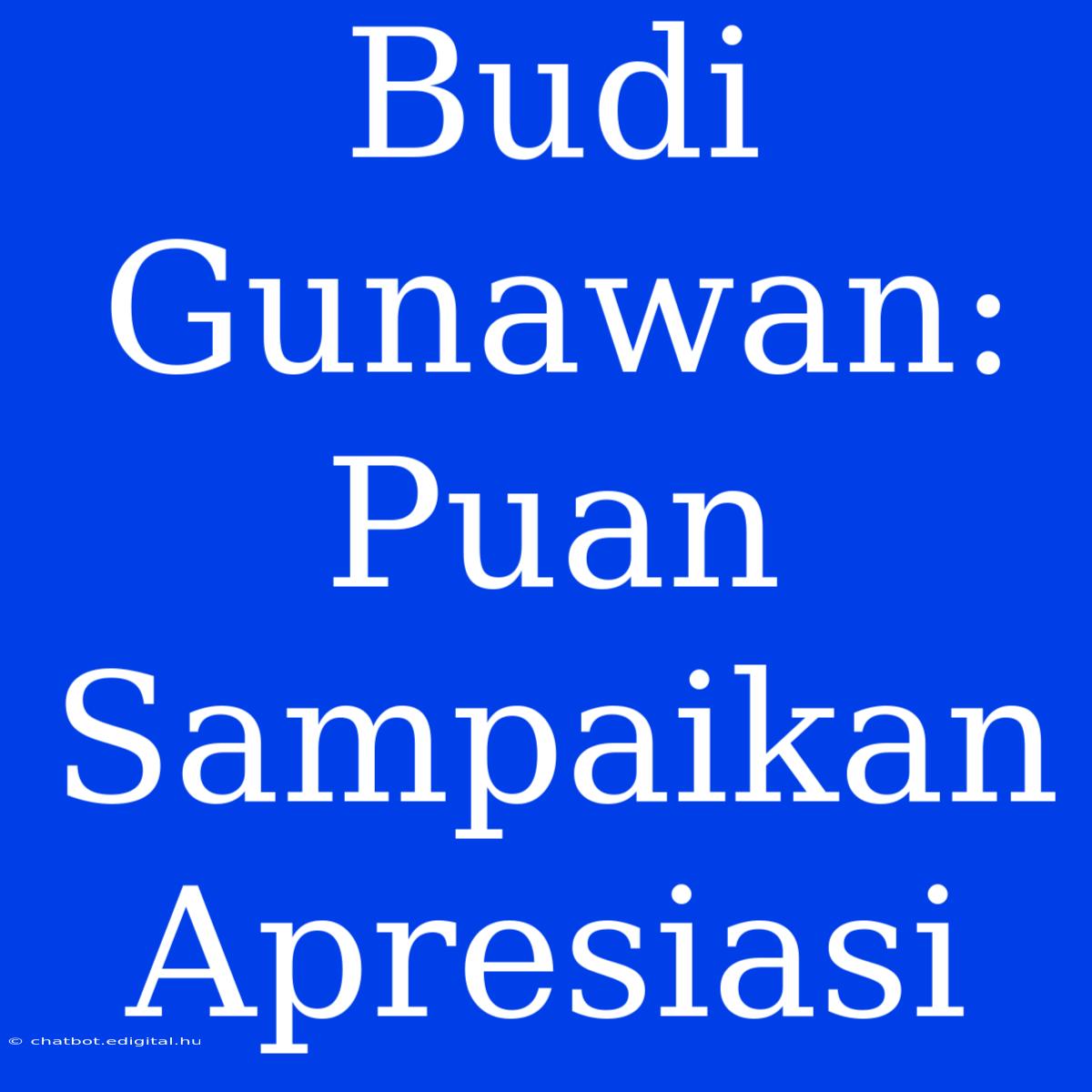 Budi Gunawan: Puan Sampaikan Apresiasi