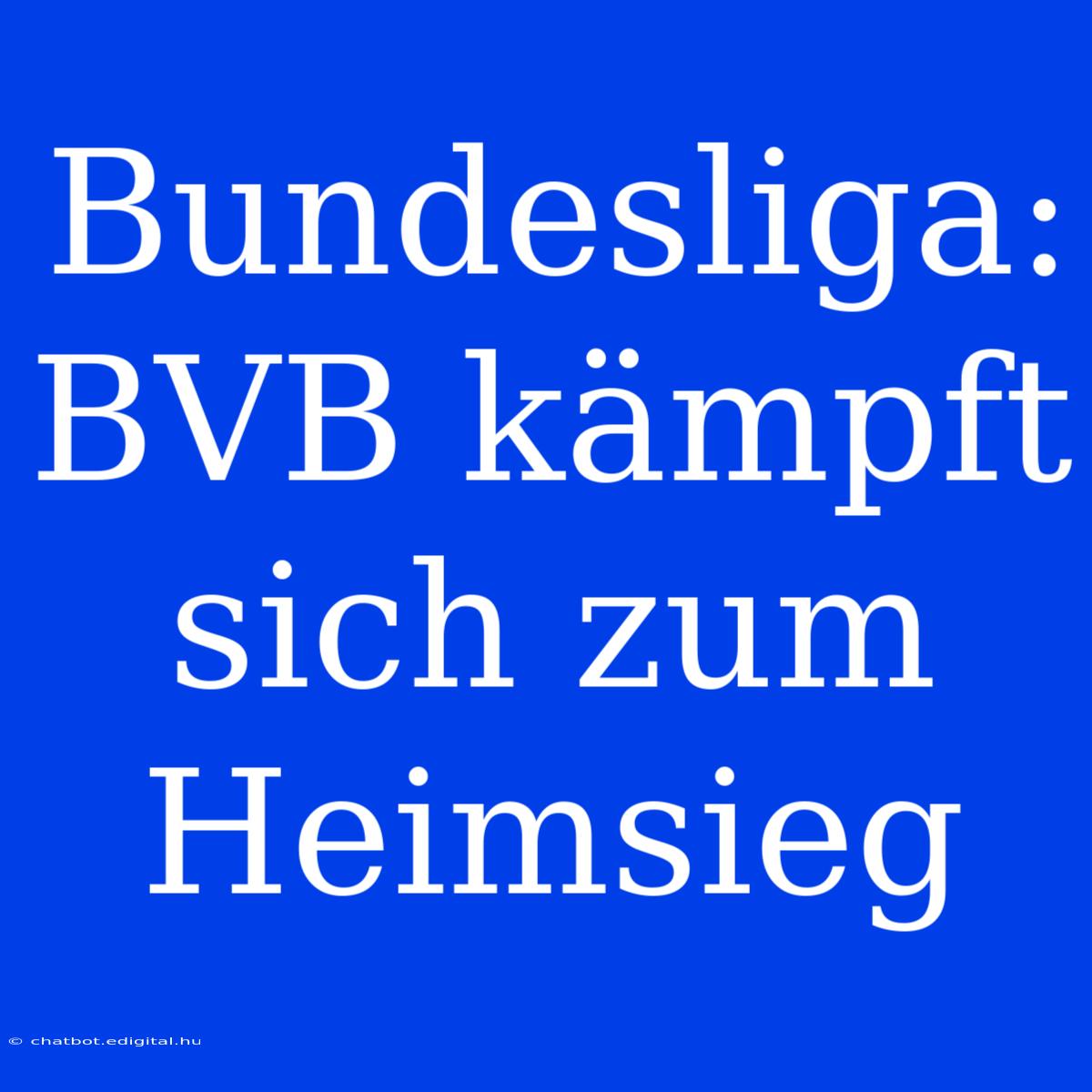 Bundesliga: BVB Kämpft Sich Zum Heimsieg