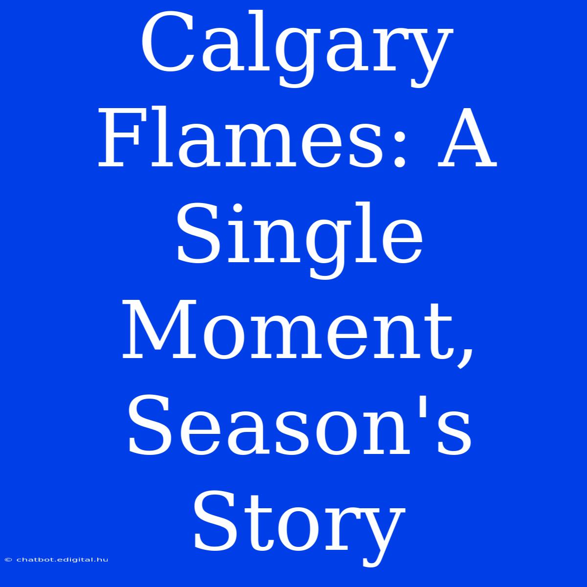 Calgary Flames: A Single Moment, Season's Story