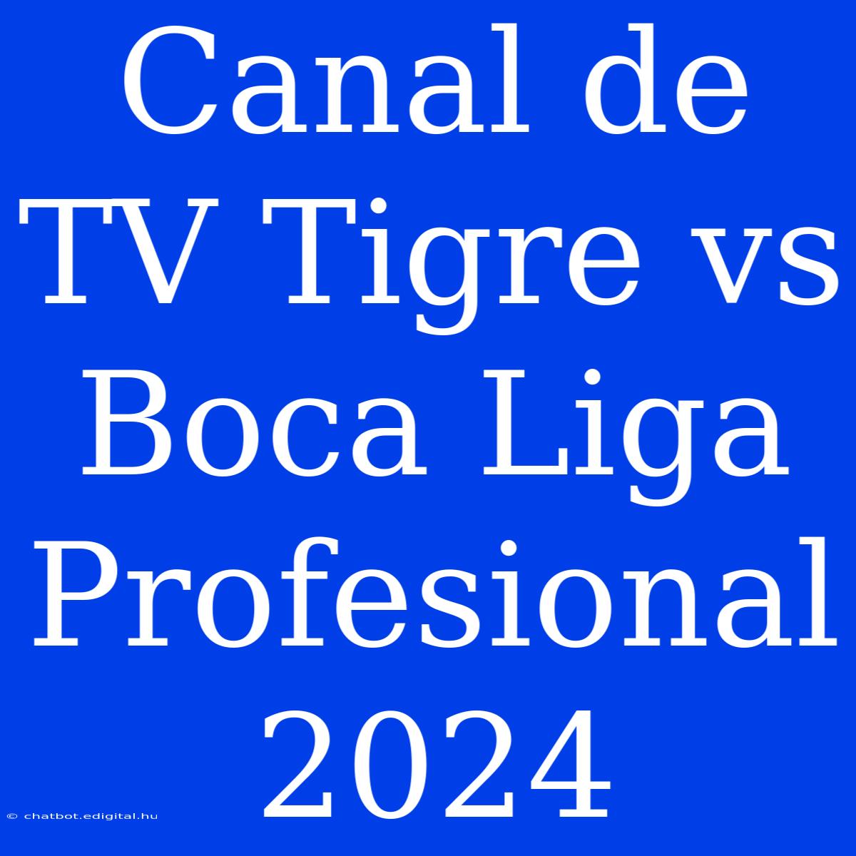 Canal De TV Tigre Vs Boca Liga Profesional 2024