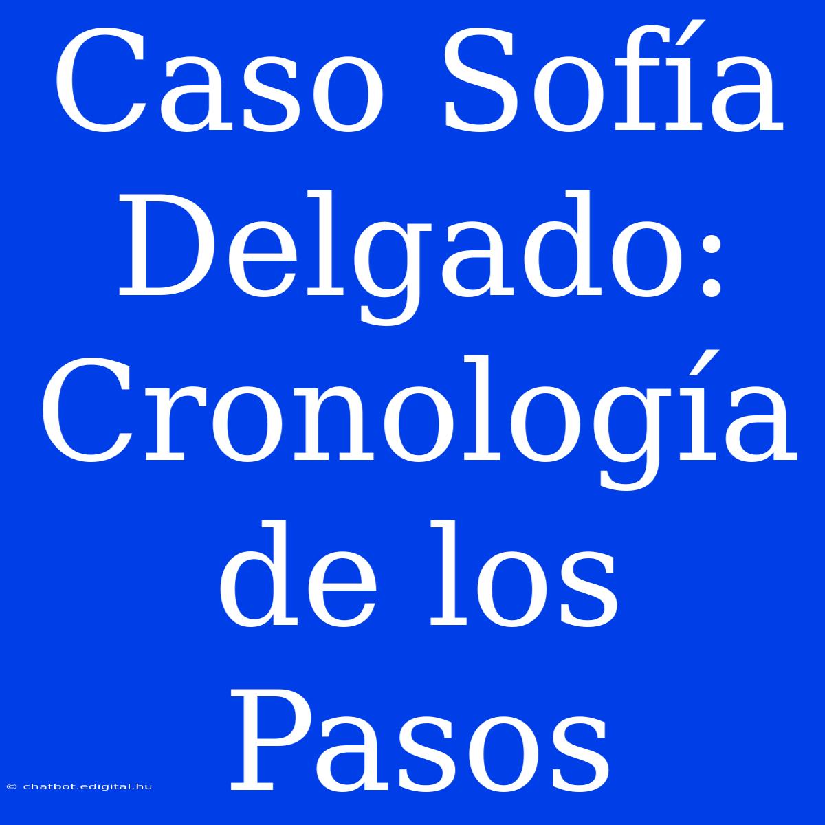 Caso Sofía Delgado: Cronología De Los Pasos