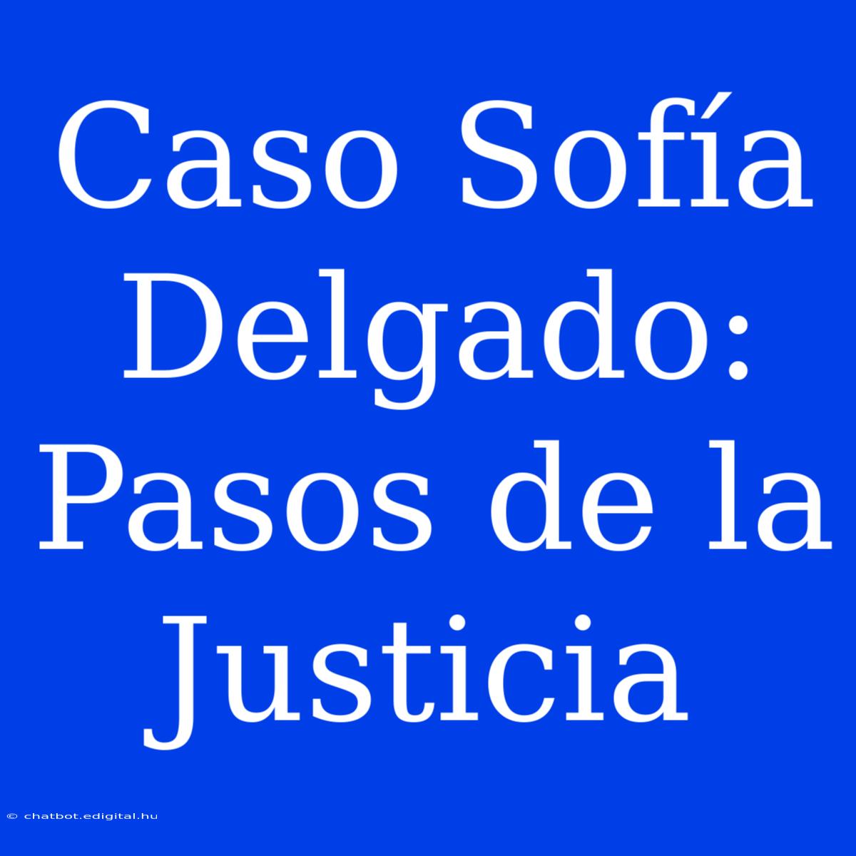 Caso Sofía Delgado: Pasos De La Justicia