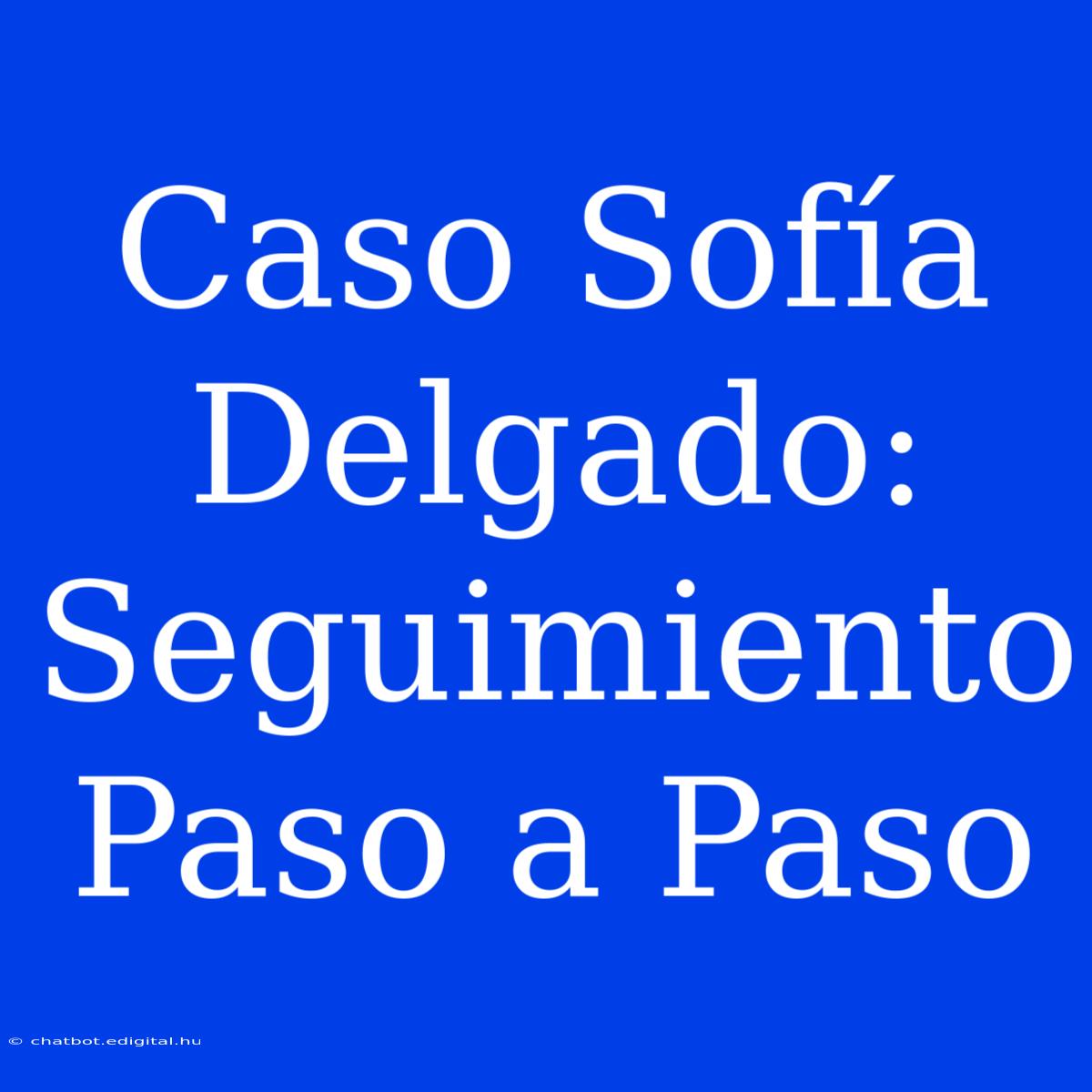 Caso Sofía Delgado: Seguimiento Paso A Paso