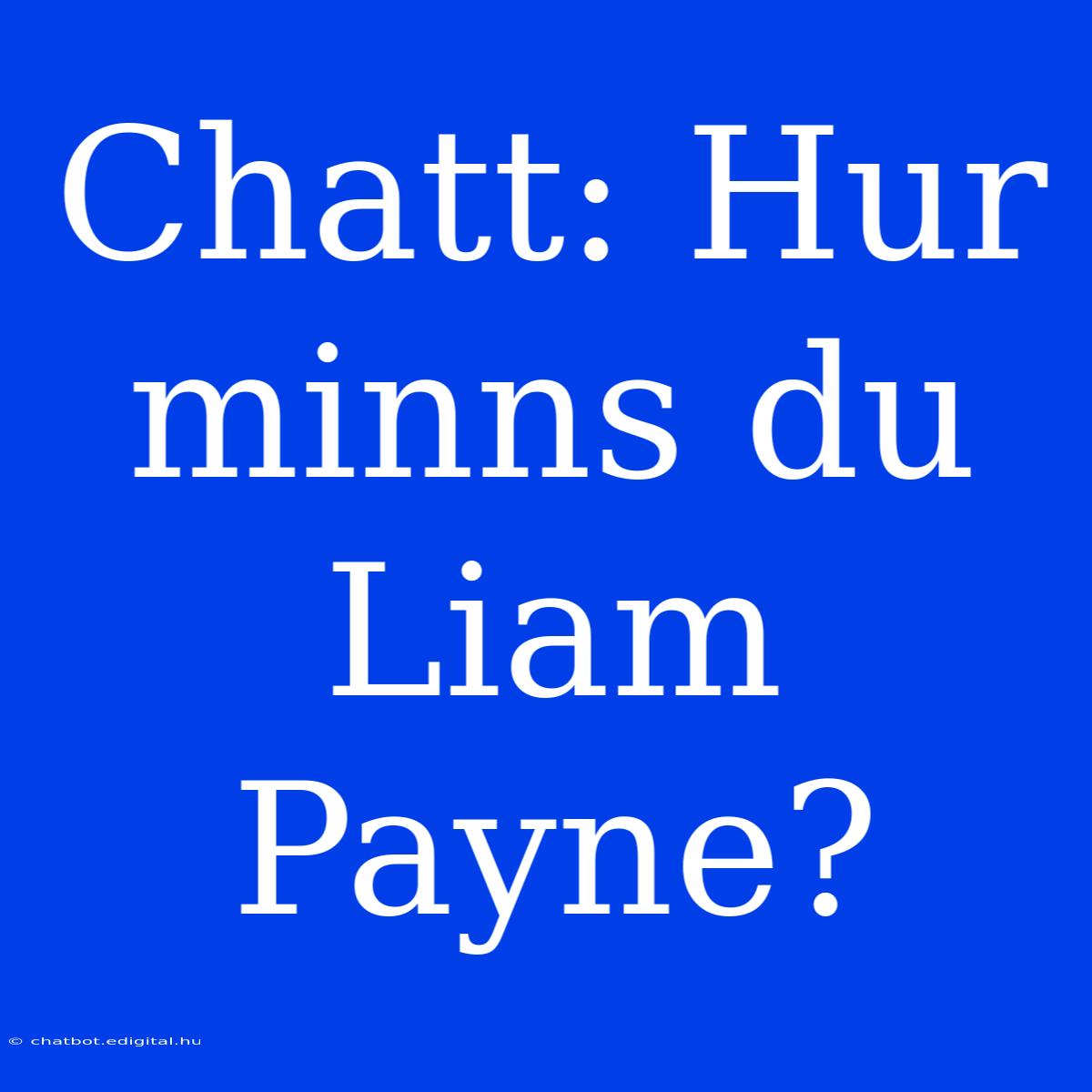 Chatt: Hur Minns Du Liam Payne?