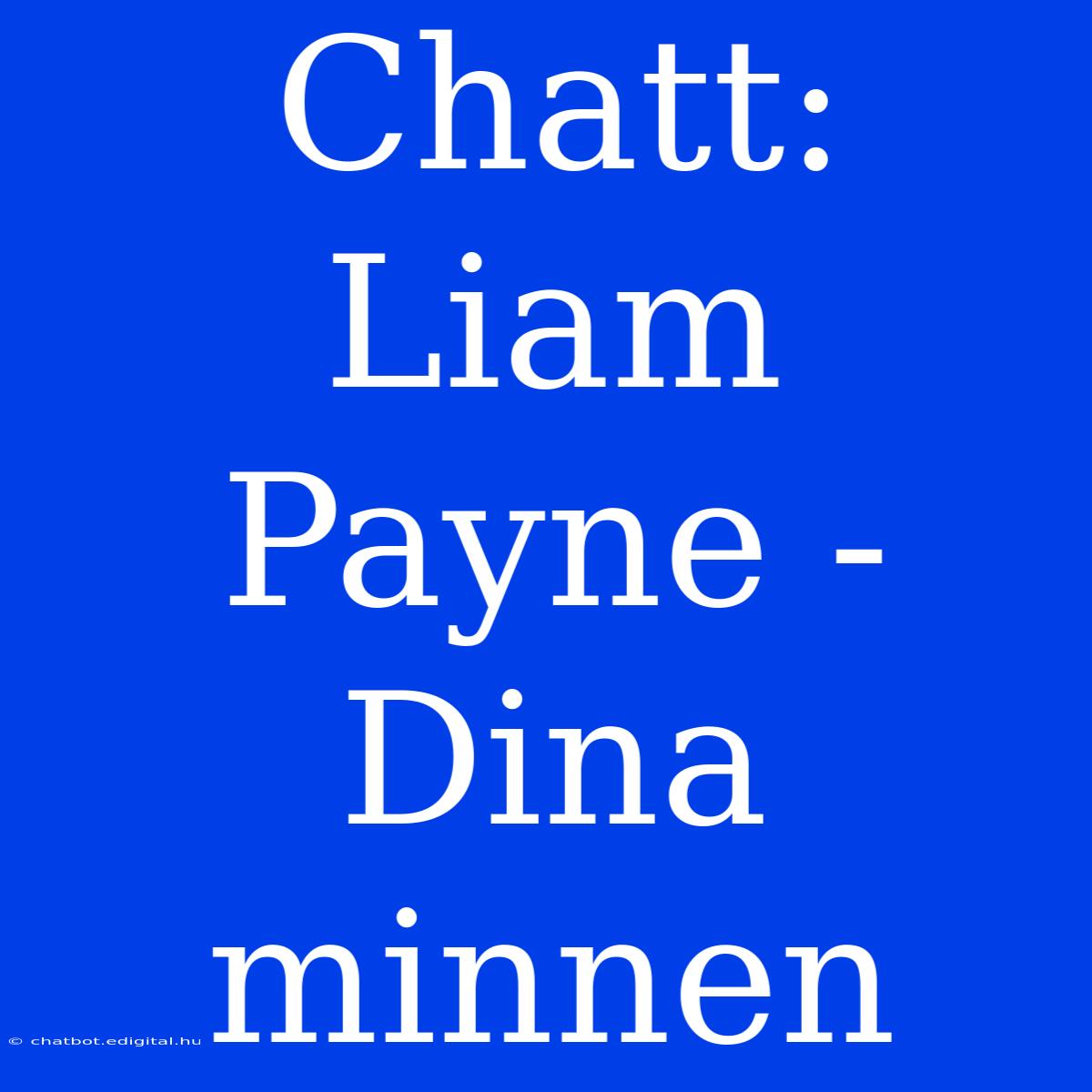 Chatt: Liam Payne - Dina Minnen