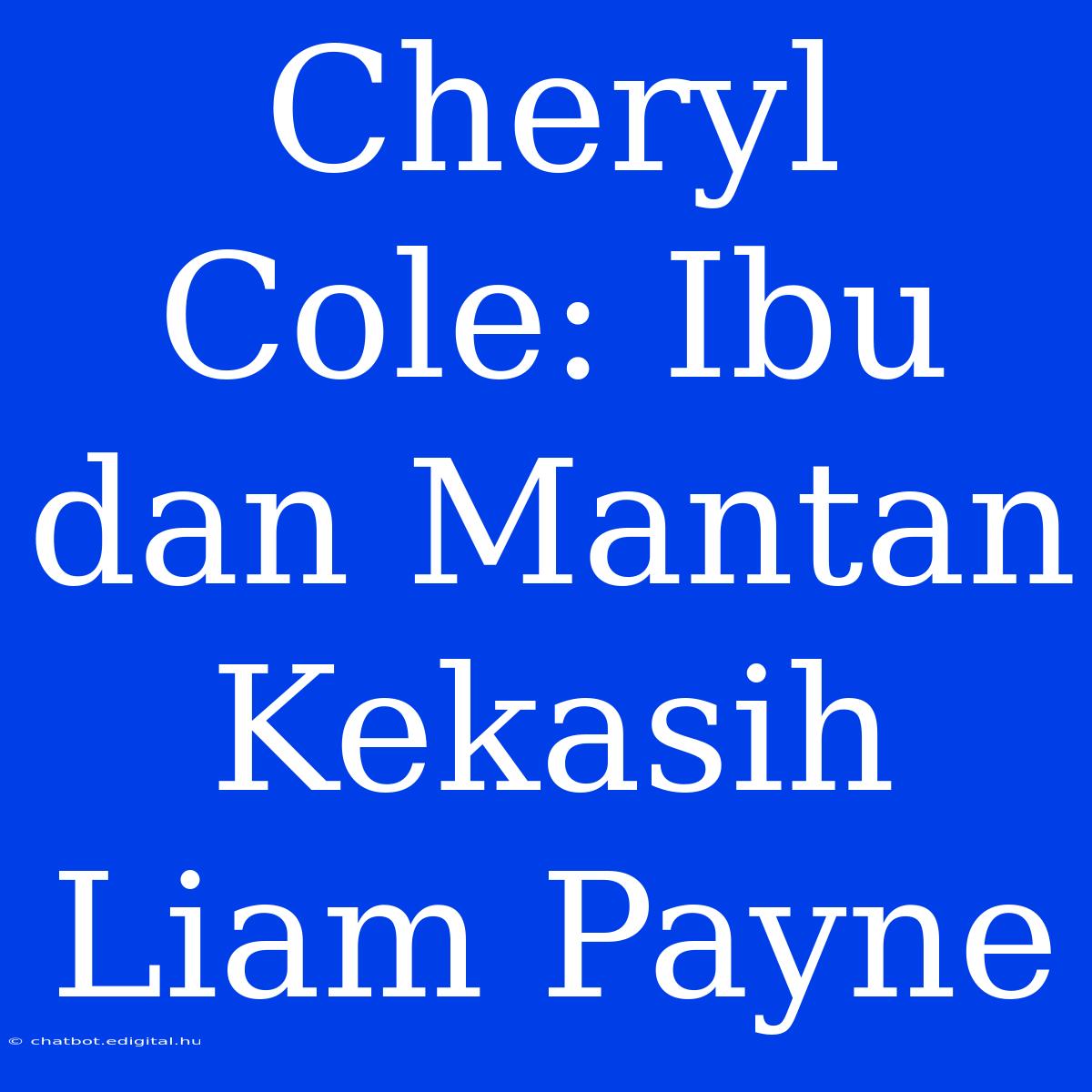 Cheryl Cole: Ibu Dan Mantan Kekasih Liam Payne