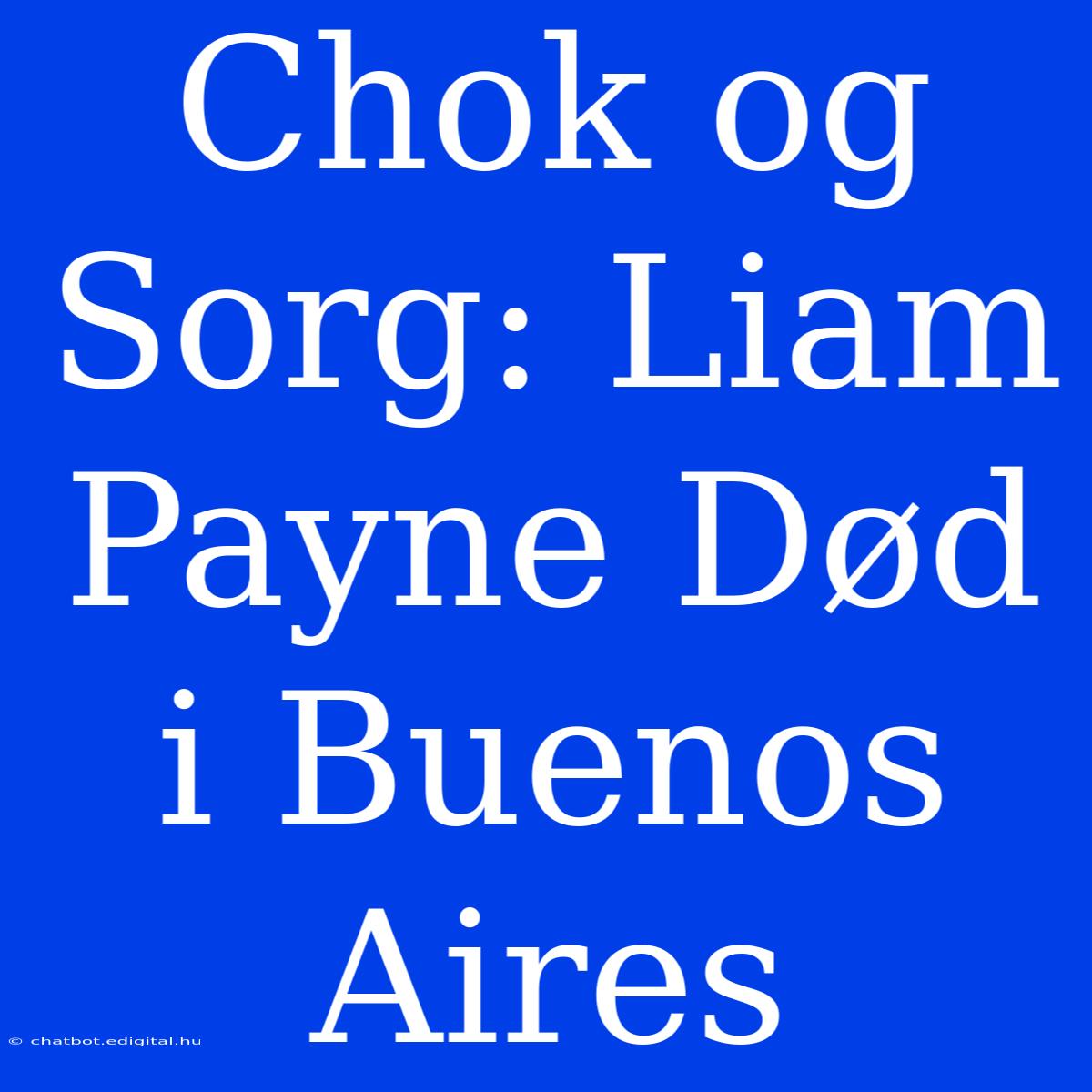 Chok Og Sorg: Liam Payne Død I Buenos Aires