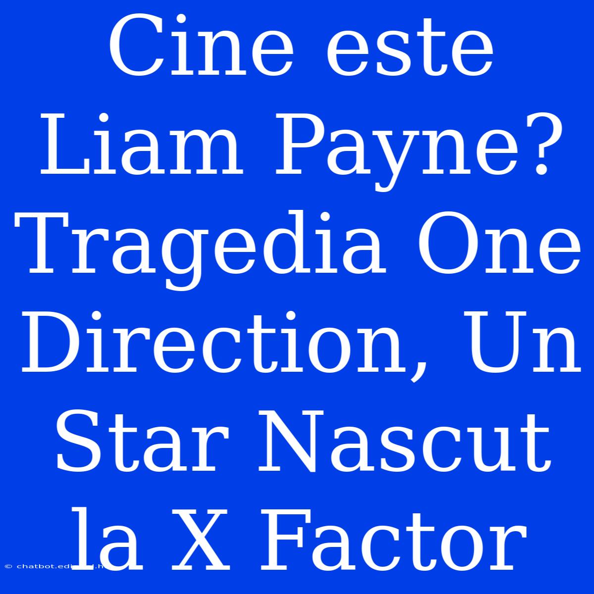 Cine Este Liam Payne? Tragedia One Direction, Un Star Nascut La X Factor