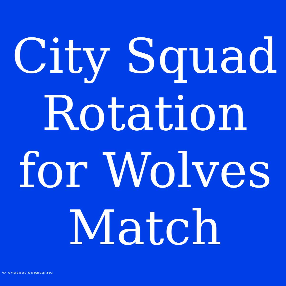 City Squad Rotation For Wolves Match