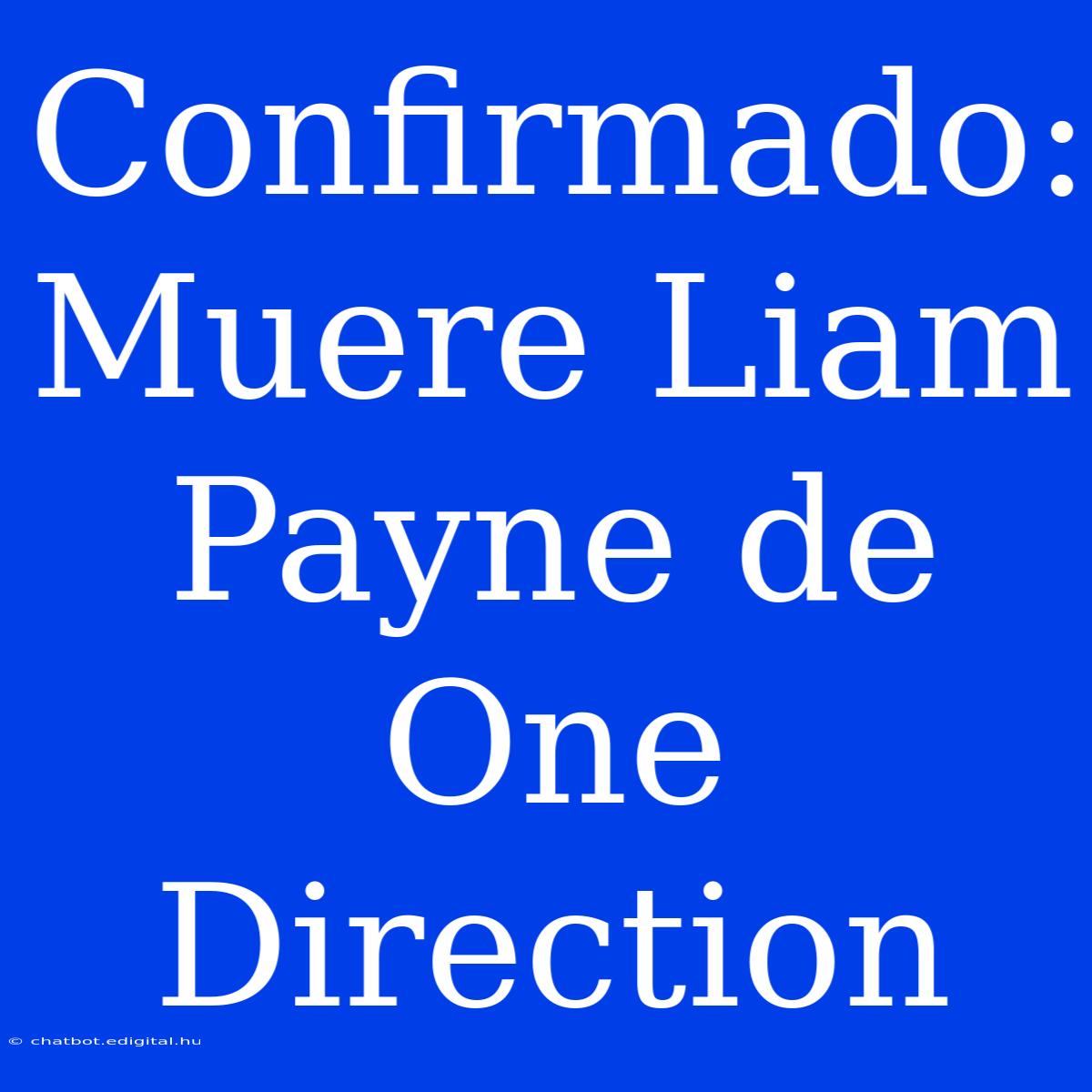 Confirmado: Muere Liam Payne De One Direction