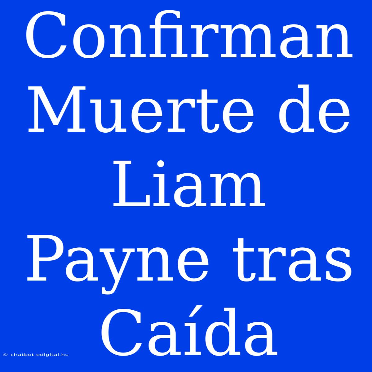 Confirman Muerte De Liam Payne Tras Caída