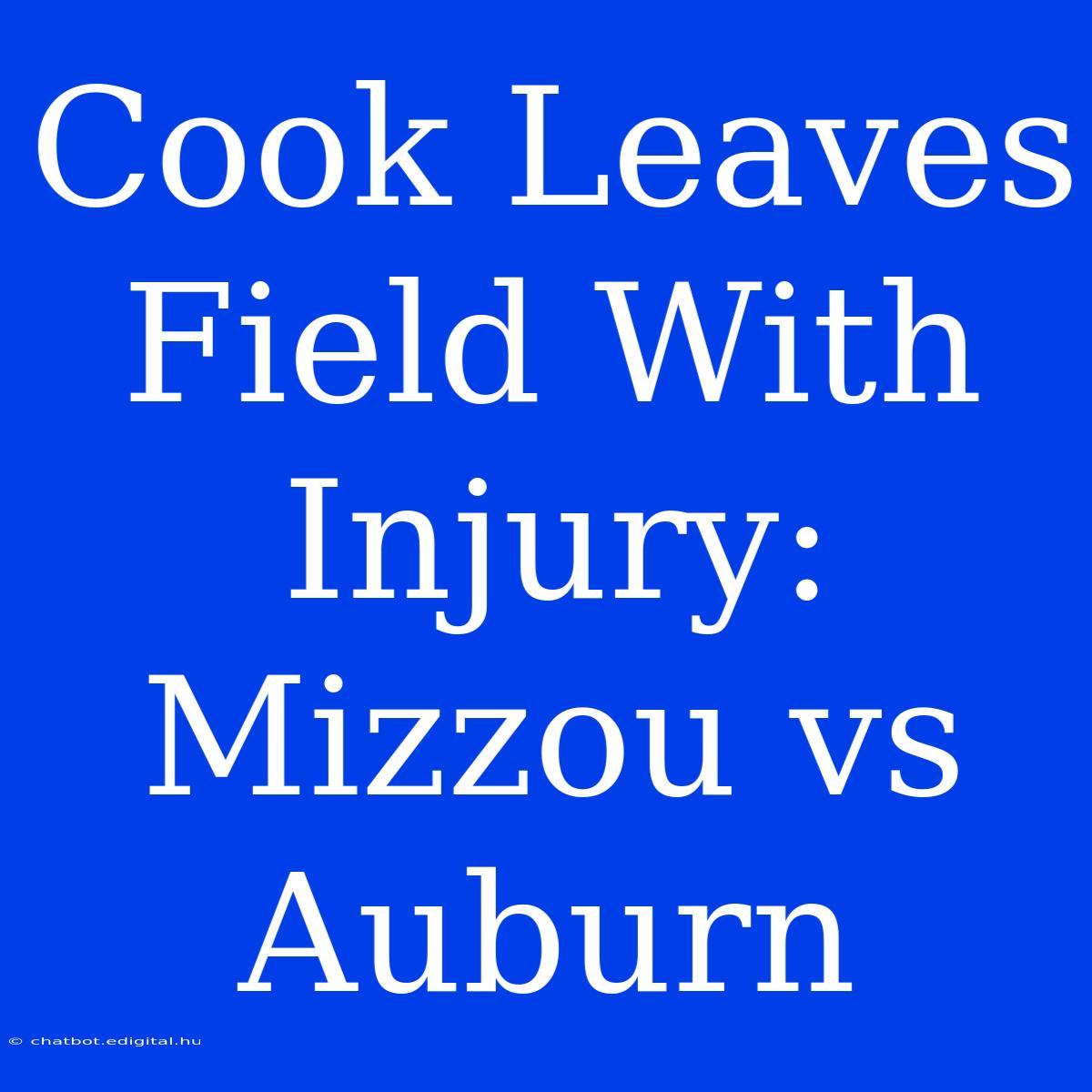 Cook Leaves Field With Injury: Mizzou Vs Auburn