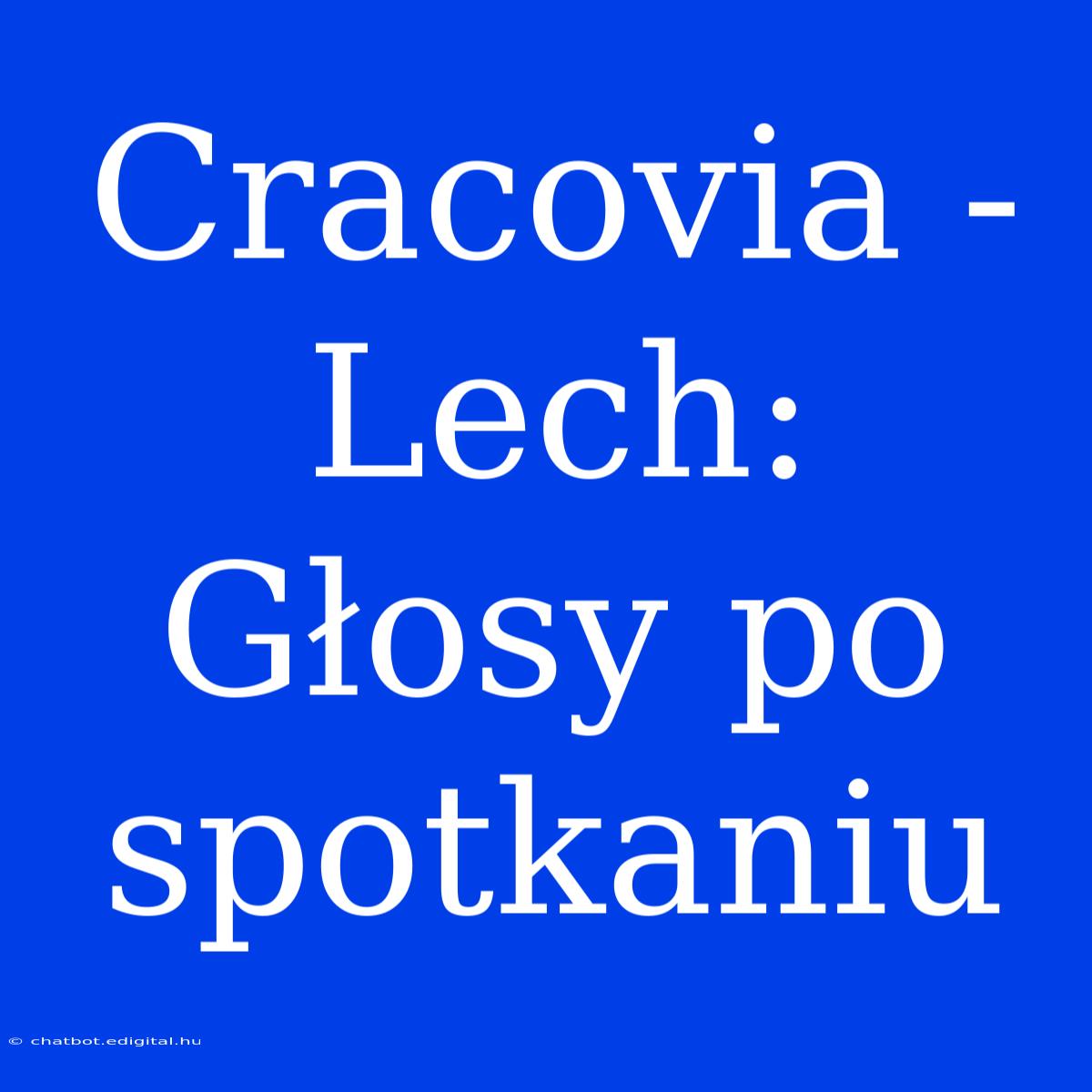 Cracovia - Lech: Głosy Po Spotkaniu