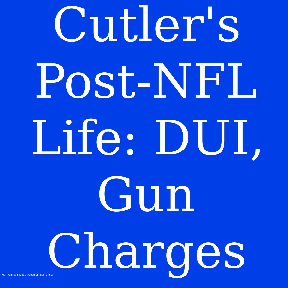 Cutler's Post-NFL Life: DUI, Gun Charges