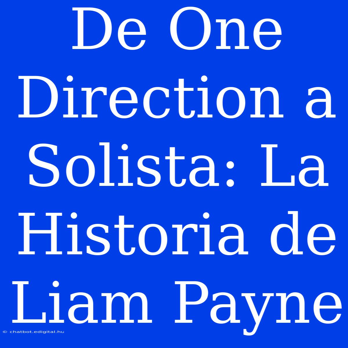 De One Direction A Solista: La Historia De Liam Payne