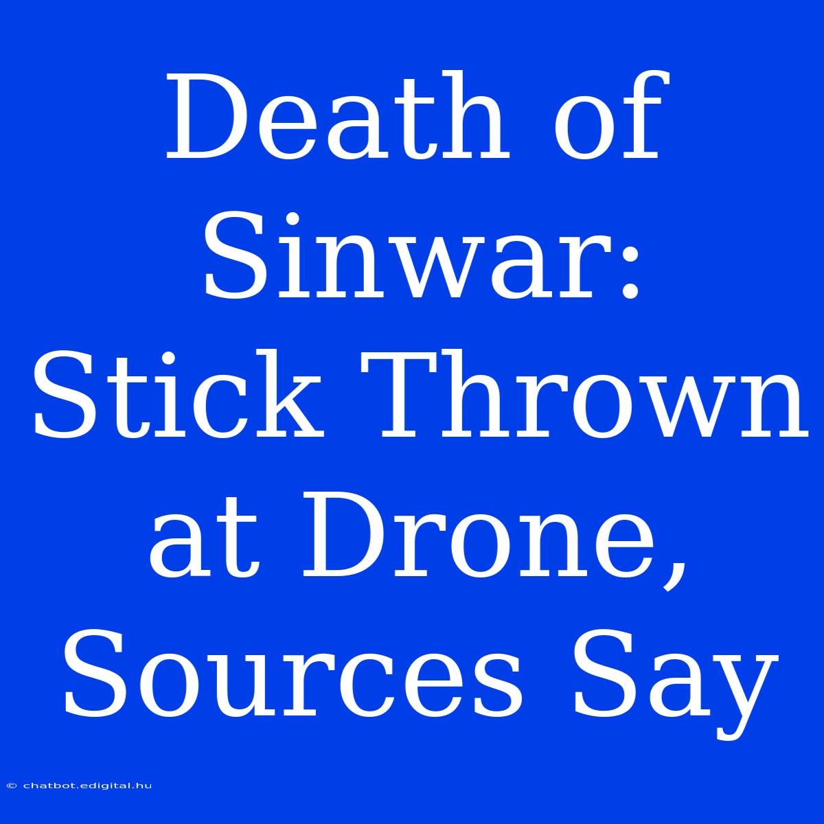 Death Of Sinwar: Stick Thrown At Drone, Sources Say