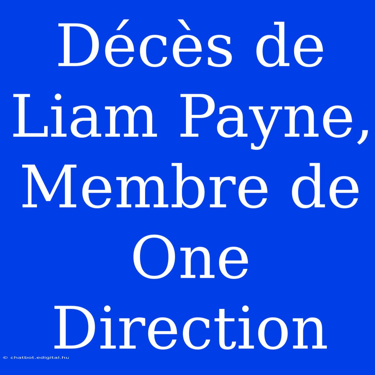 Décès De Liam Payne, Membre De One Direction