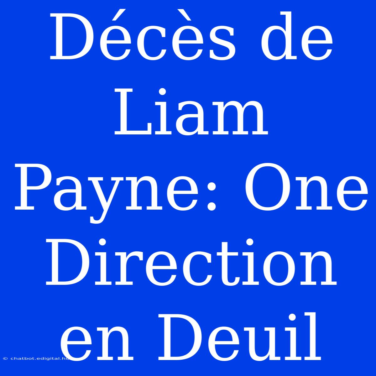 Décès De Liam Payne: One Direction En Deuil