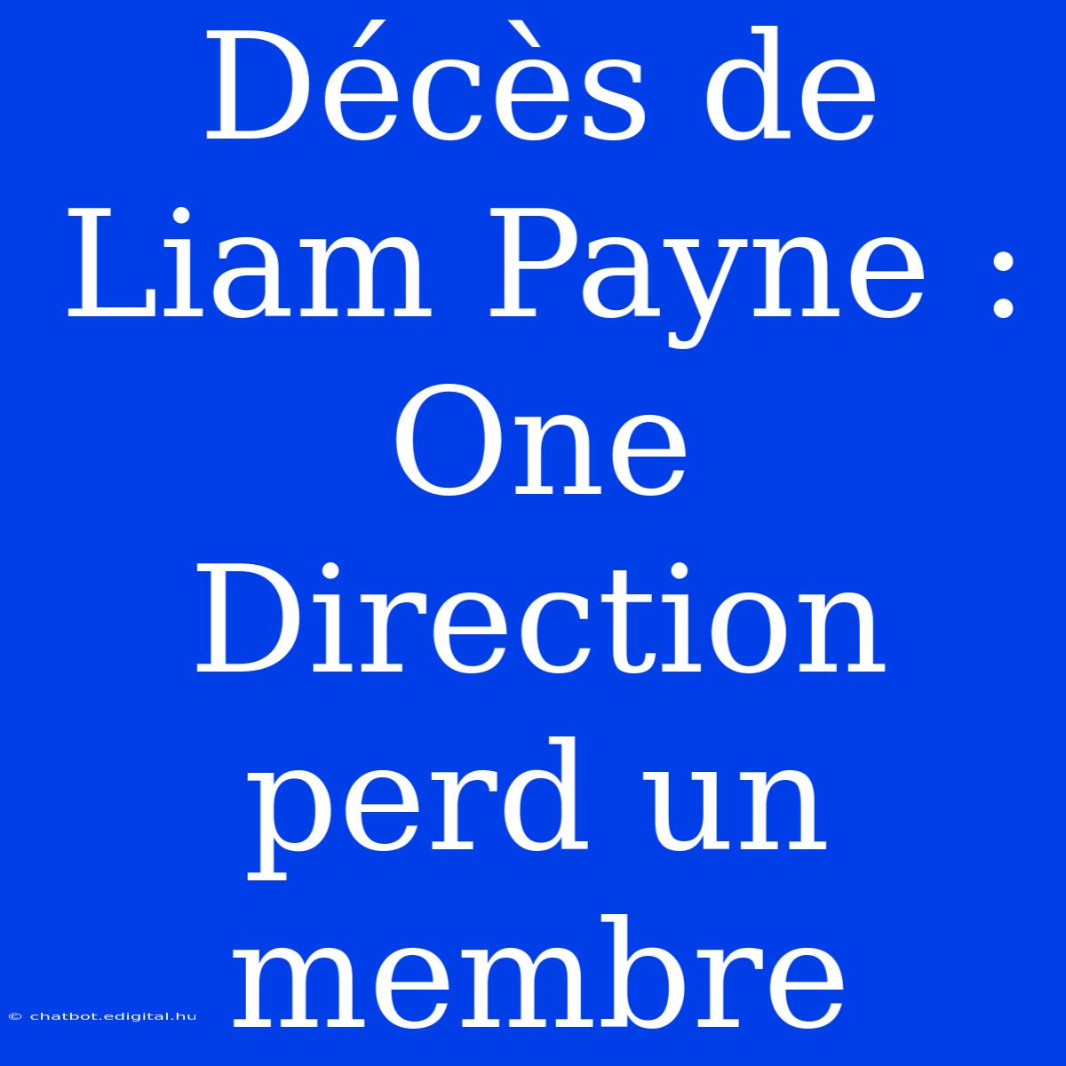 Décès De Liam Payne : One Direction Perd Un Membre 