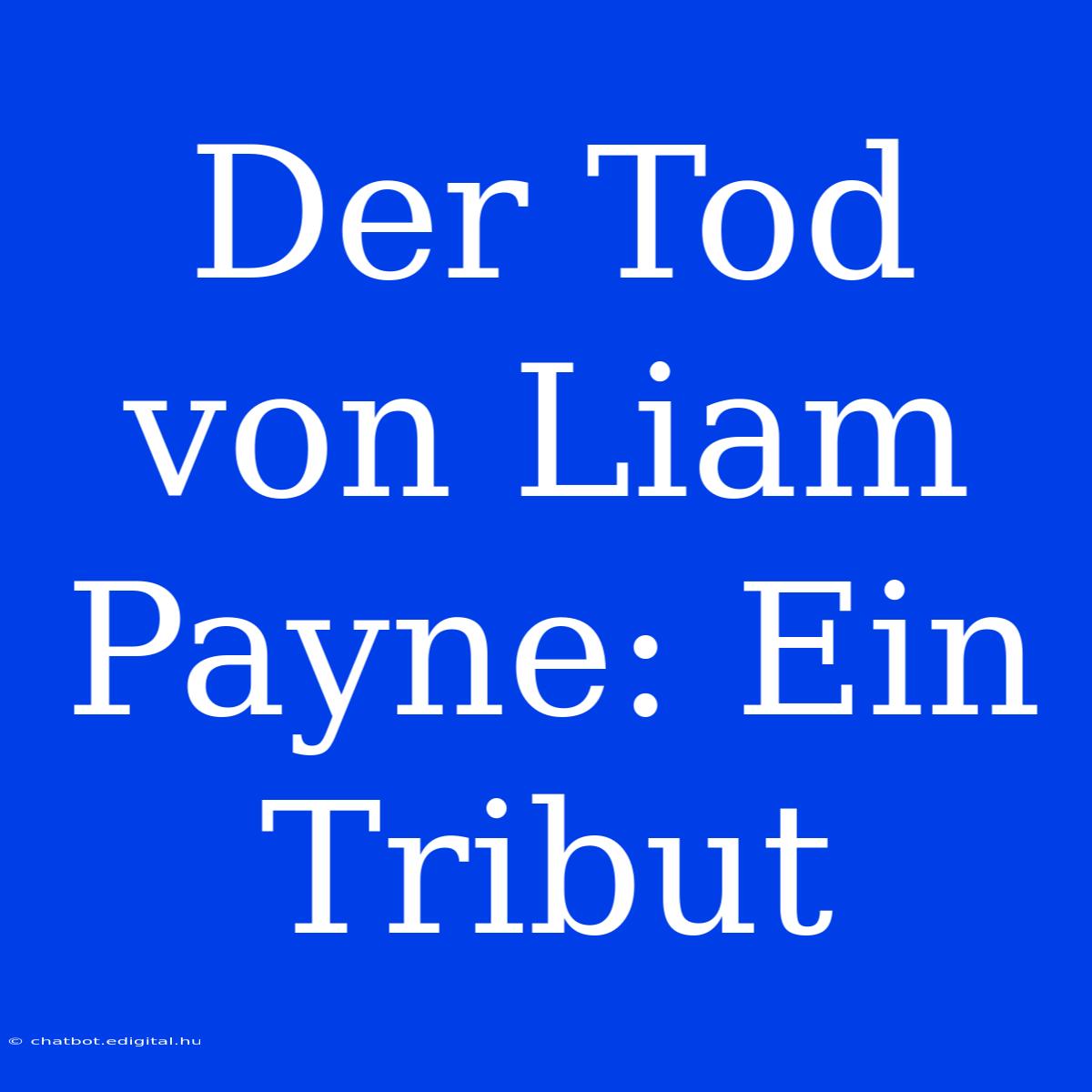 Der Tod Von Liam Payne: Ein Tribut