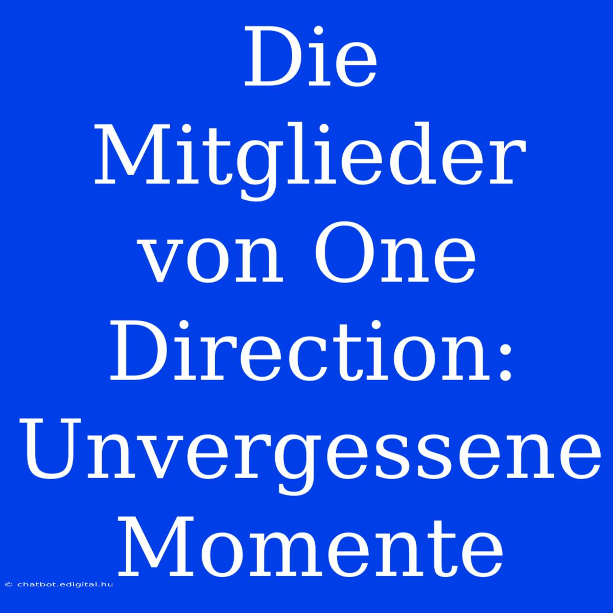 Die Mitglieder Von One Direction: Unvergessene Momente