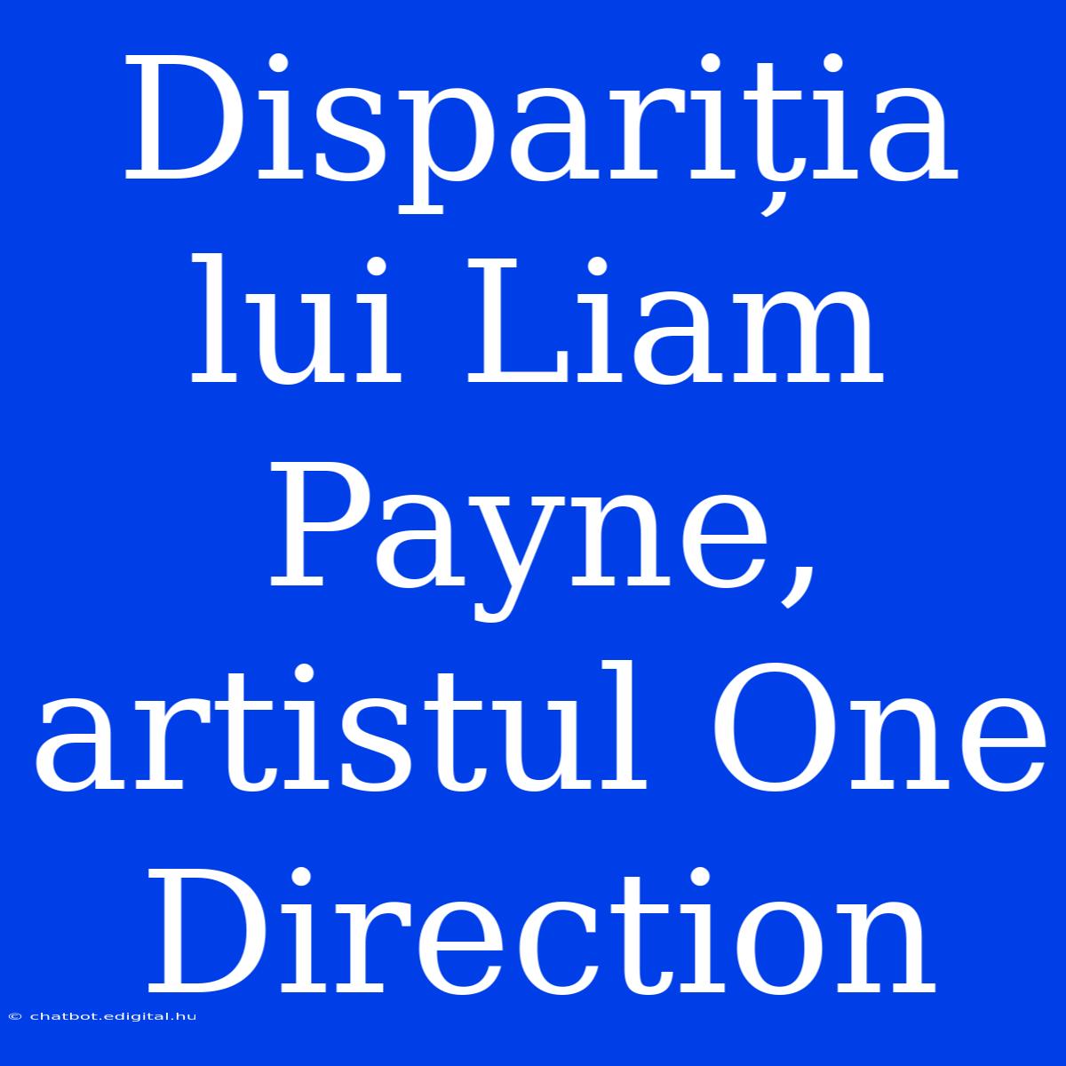 Dispariția Lui Liam Payne, Artistul One Direction