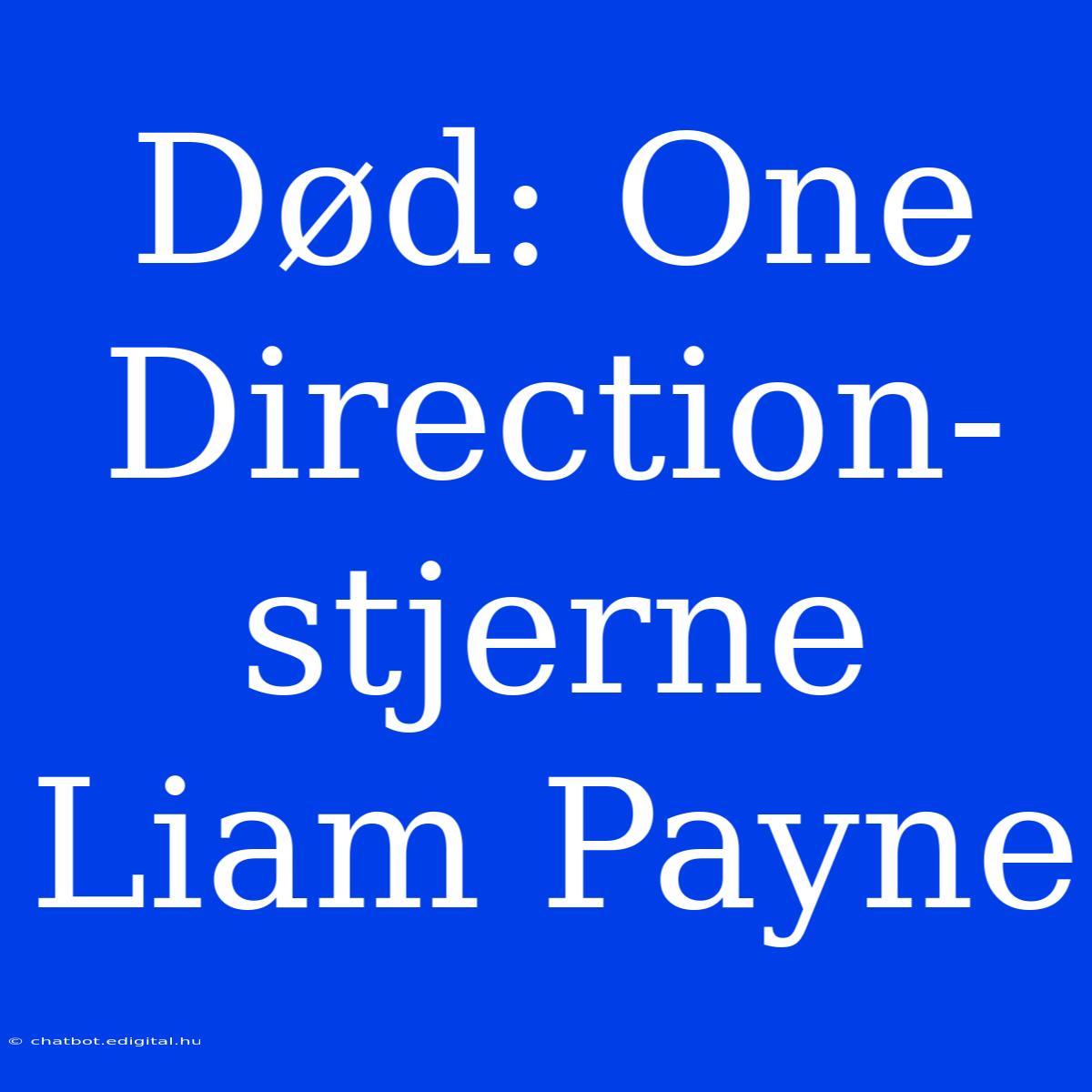 Død: One Direction-stjerne Liam Payne 