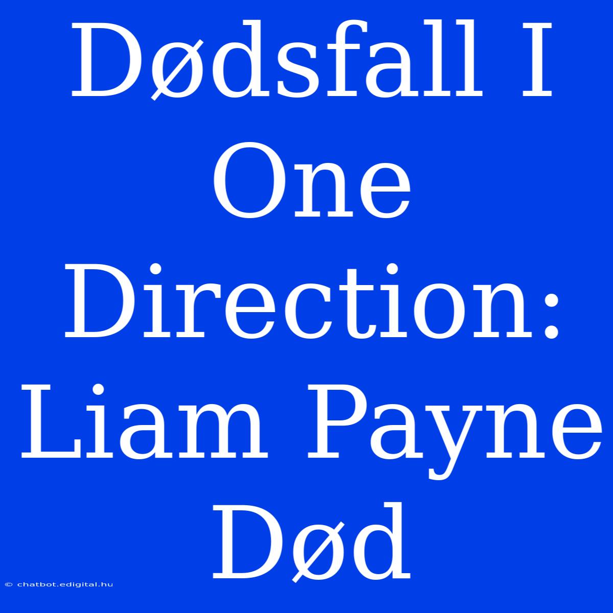 Dødsfall I One Direction: Liam Payne Død