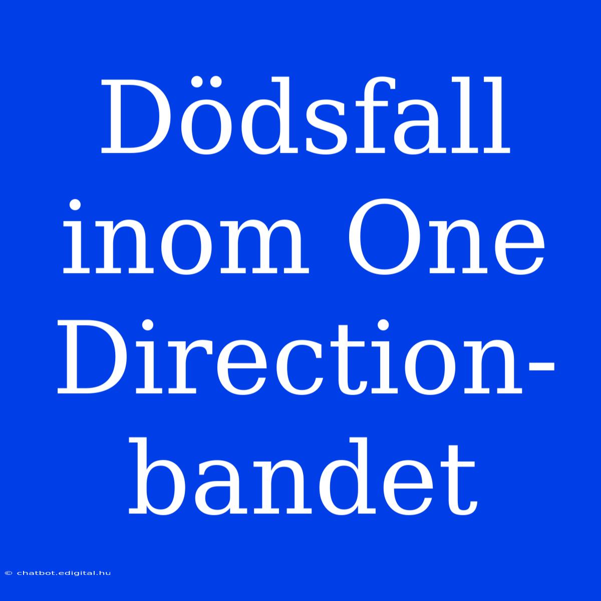 Dödsfall Inom One Direction-bandet