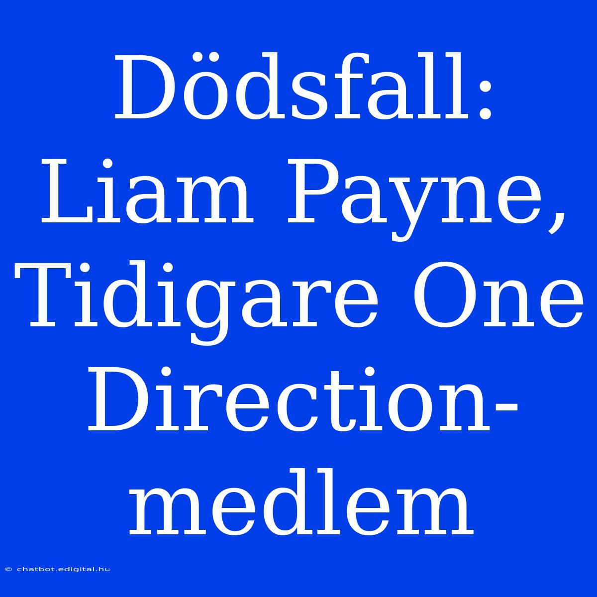 Dödsfall: Liam Payne, Tidigare One Direction-medlem