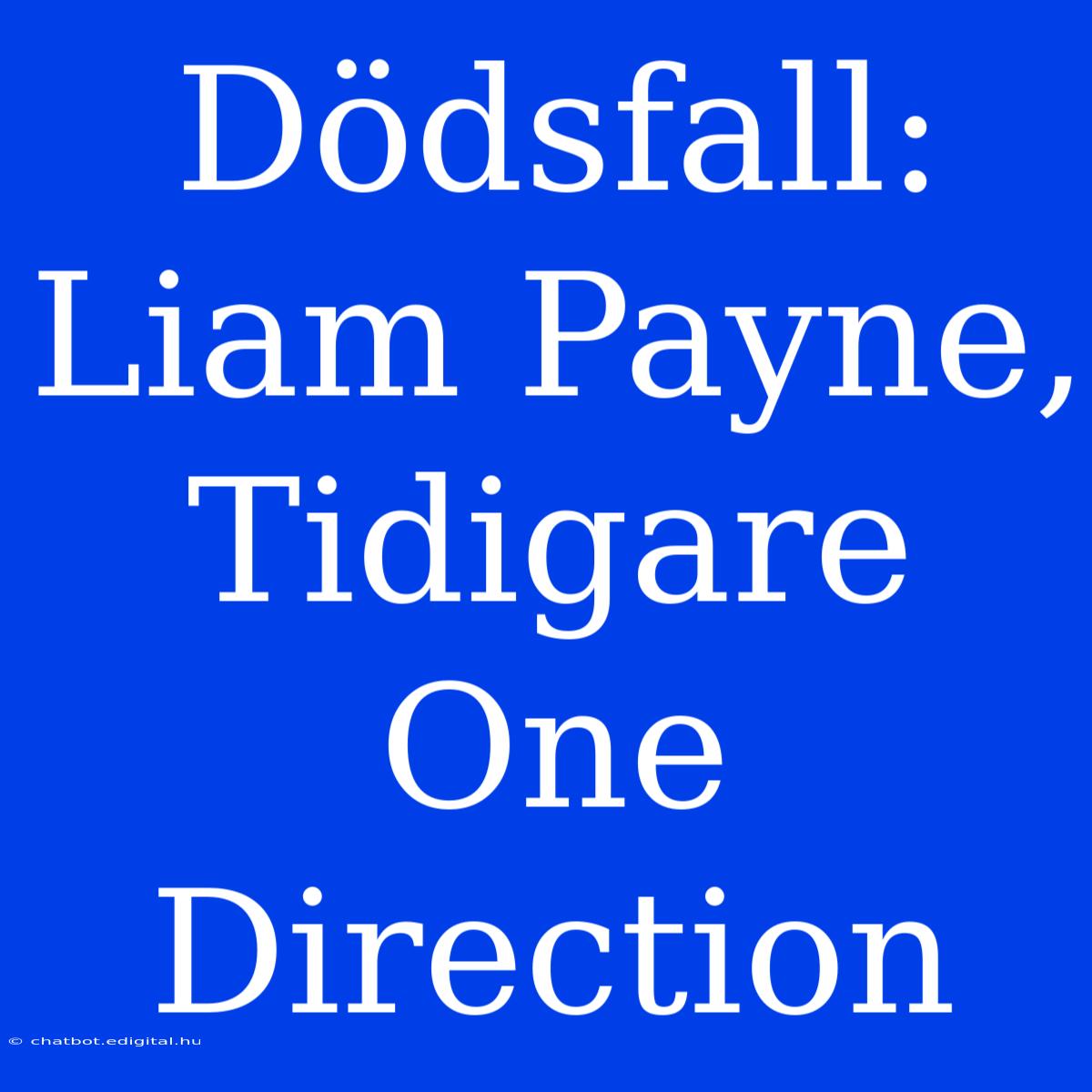 Dödsfall: Liam Payne, Tidigare One Direction