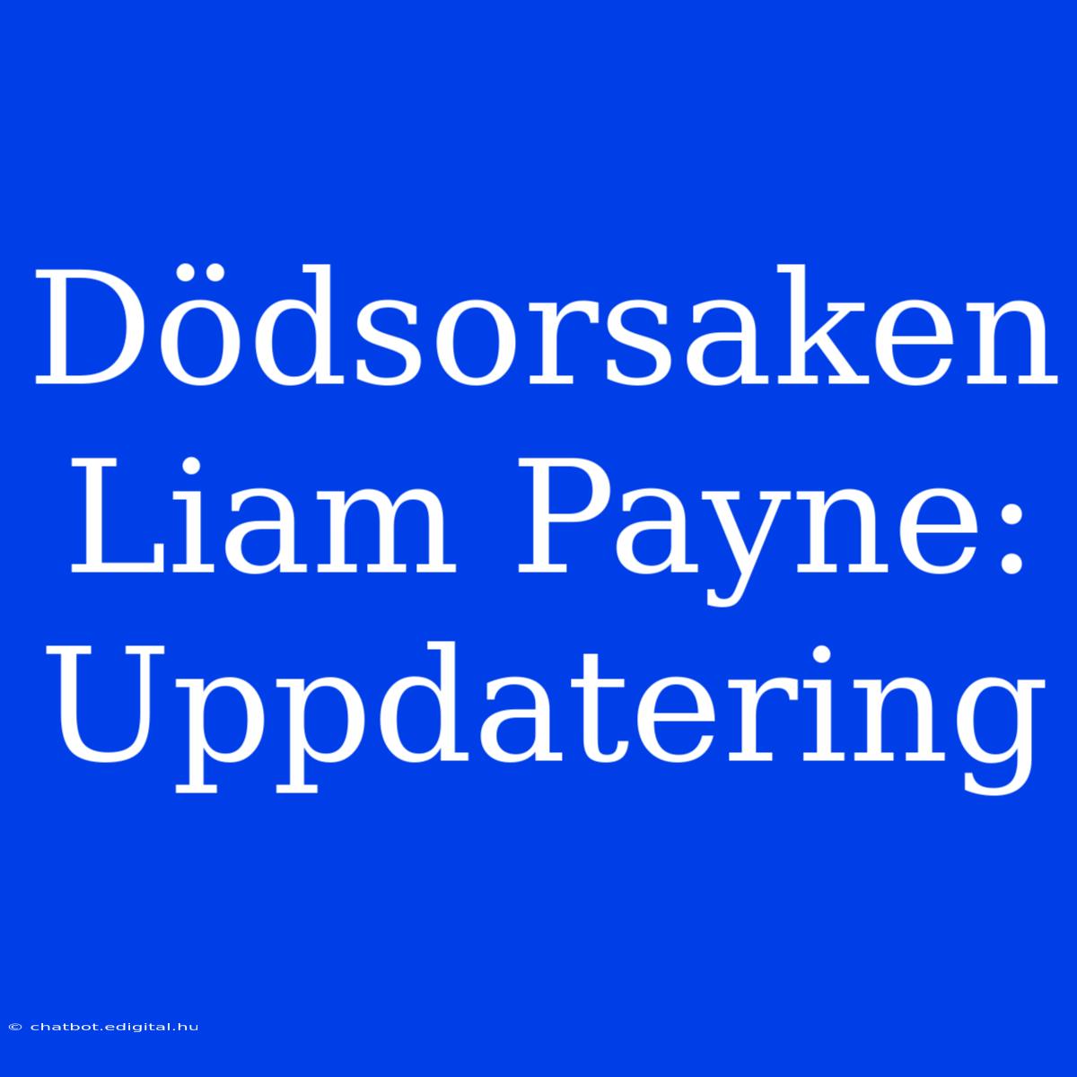 Dödsorsaken Liam Payne: Uppdatering