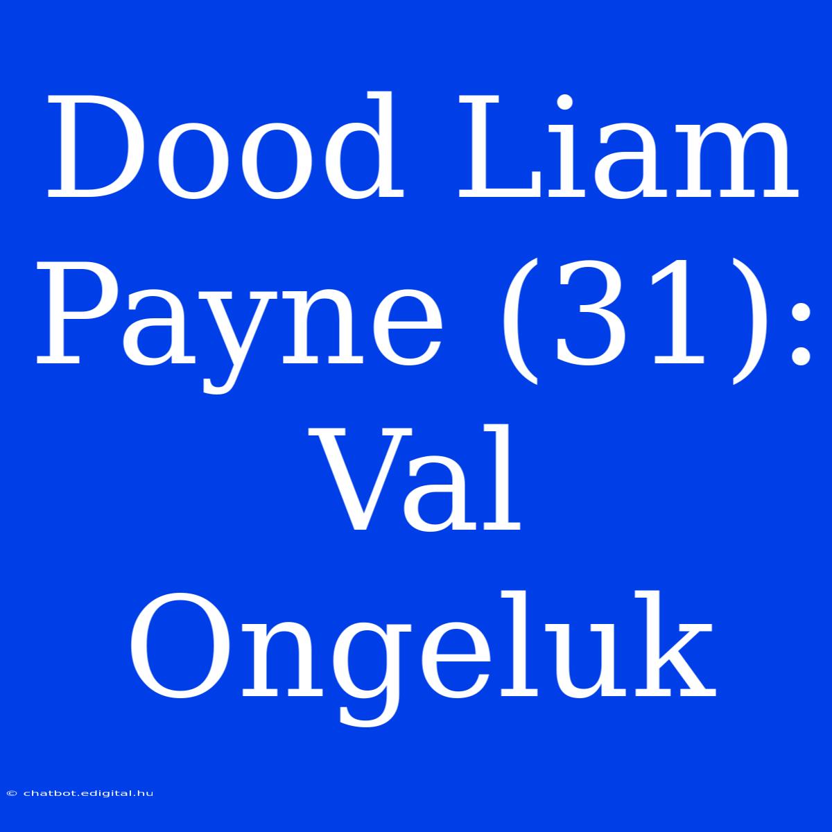 Dood Liam Payne (31): Val Ongeluk