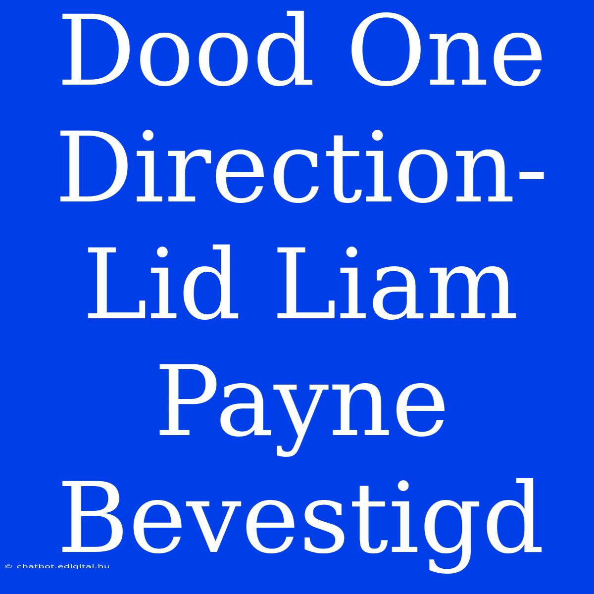 Dood One Direction-Lid Liam Payne Bevestigd