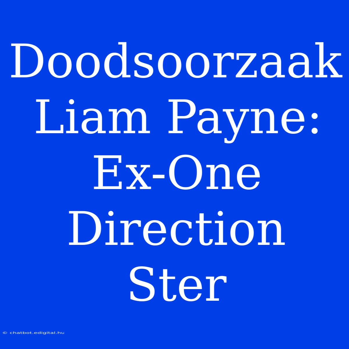 Doodsoorzaak Liam Payne: Ex-One Direction Ster