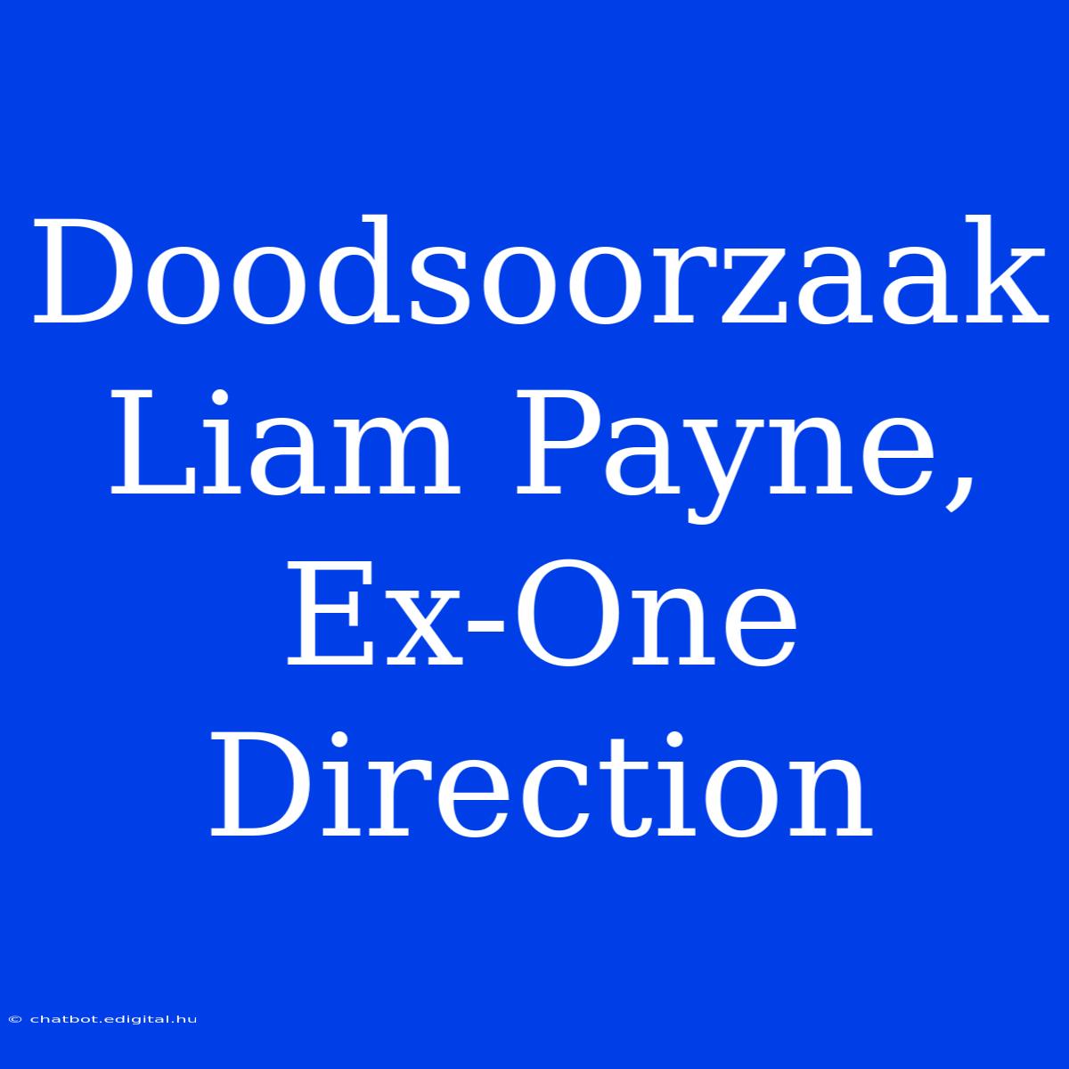 Doodsoorzaak Liam Payne, Ex-One Direction